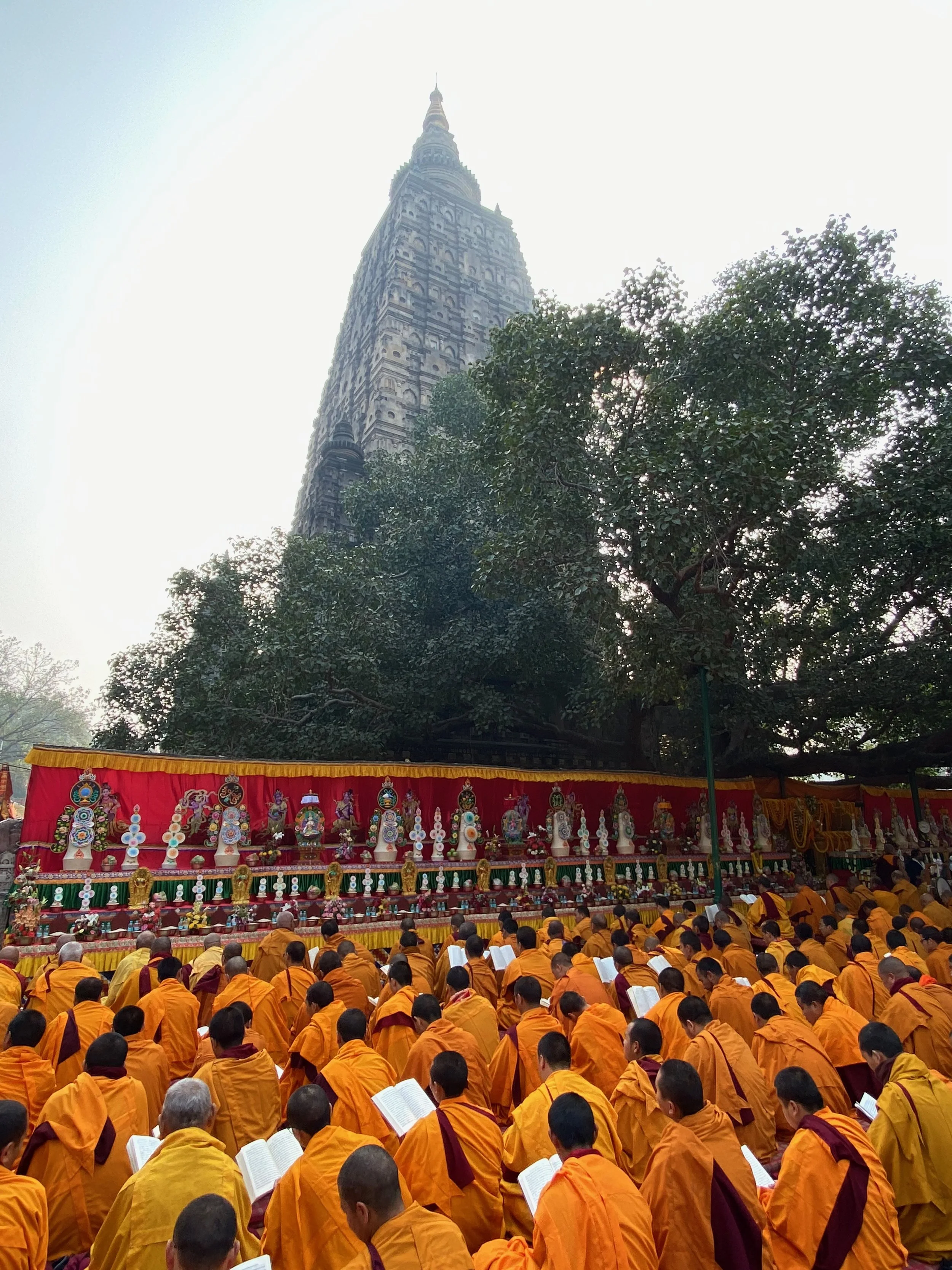 Buddhist monks in orange robes praying and reading books during a religious event near a decorated altar, with a tall temple tower and green trees in the background.