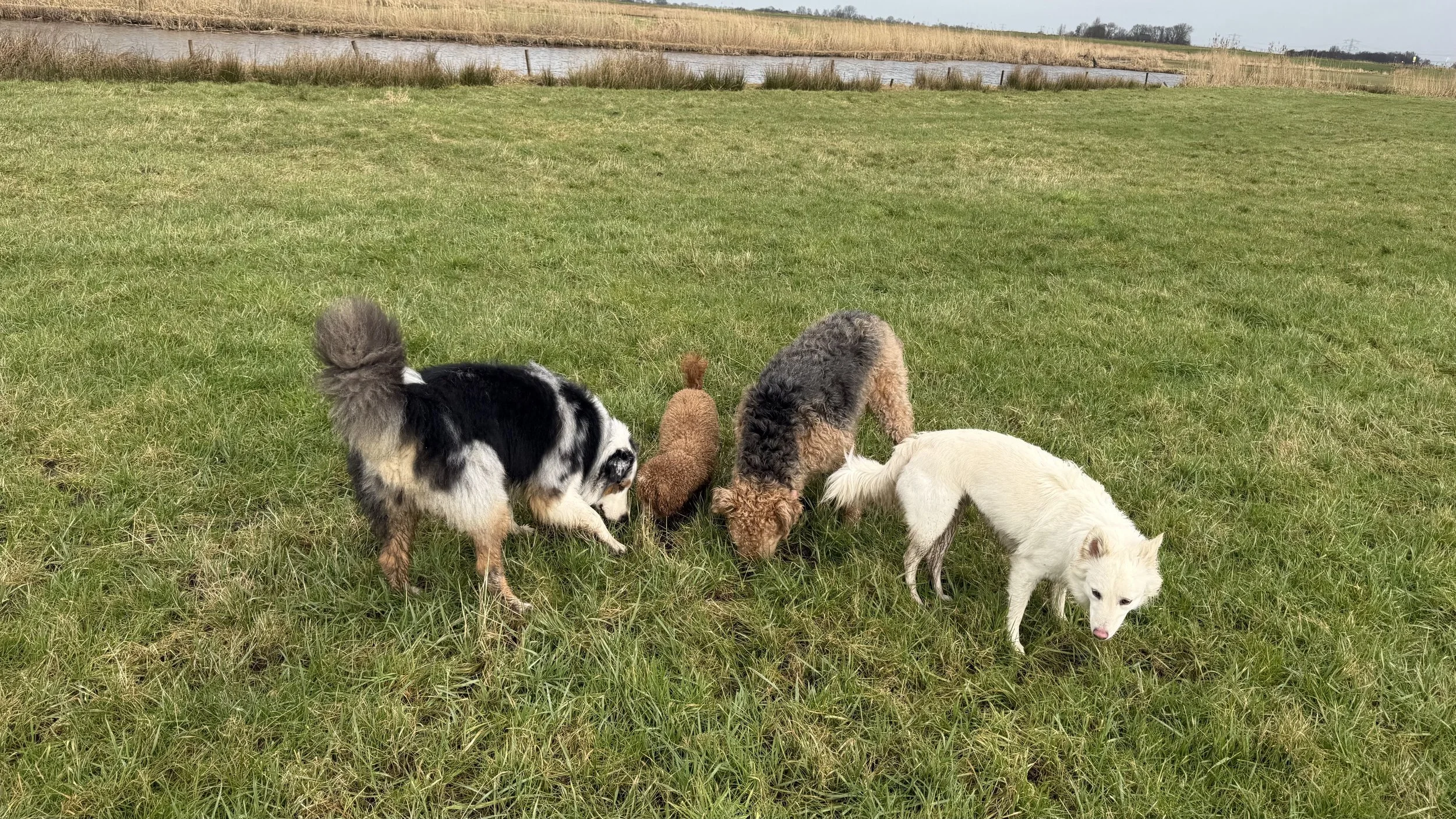 Behaviour Consultancy