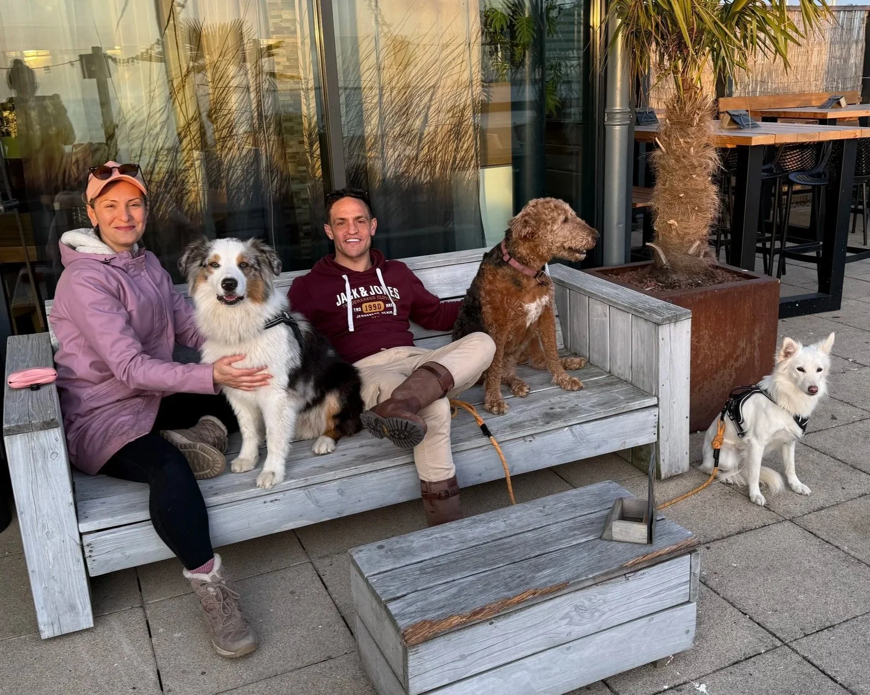 Two women and two men sitting on a wooden bench outside, with three dogs. One woman is dressed in purple, and the other woman and one man are sitting between the dogs. The dogs include a border collie, a brown curly-haired dog, and a white dog with a harness. There is a large potted plant and outdoor furniture in the background.