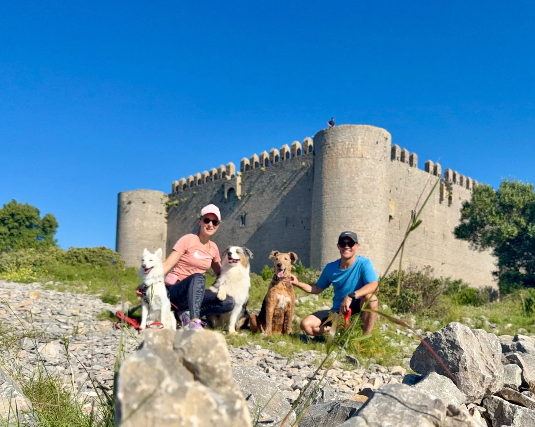 Two women and five dogs in front of a castle with tall stone walls and a tower, under a clear blue sky, with greenery and rocks on the ground.