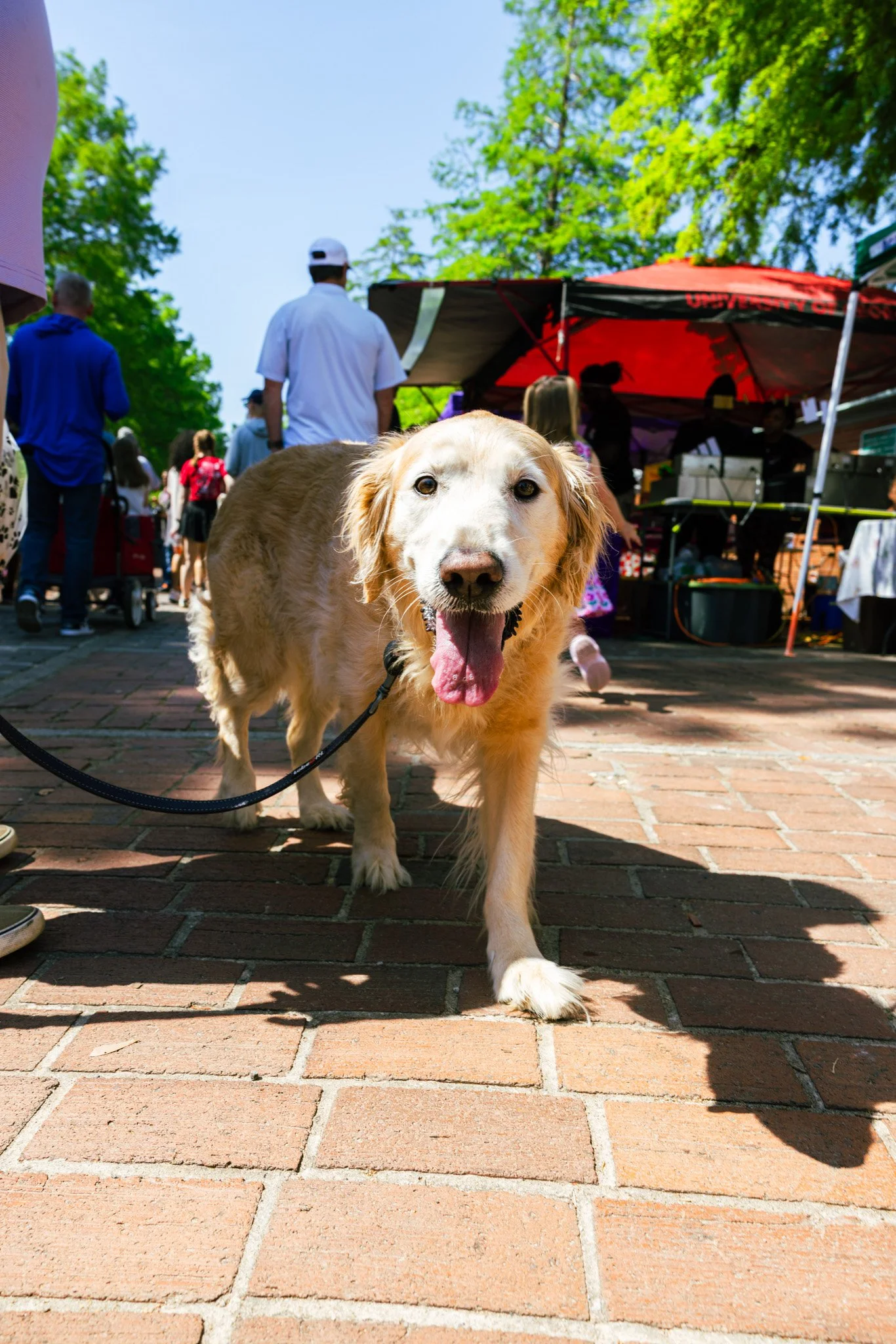 SaturdayMarket-10.jpg