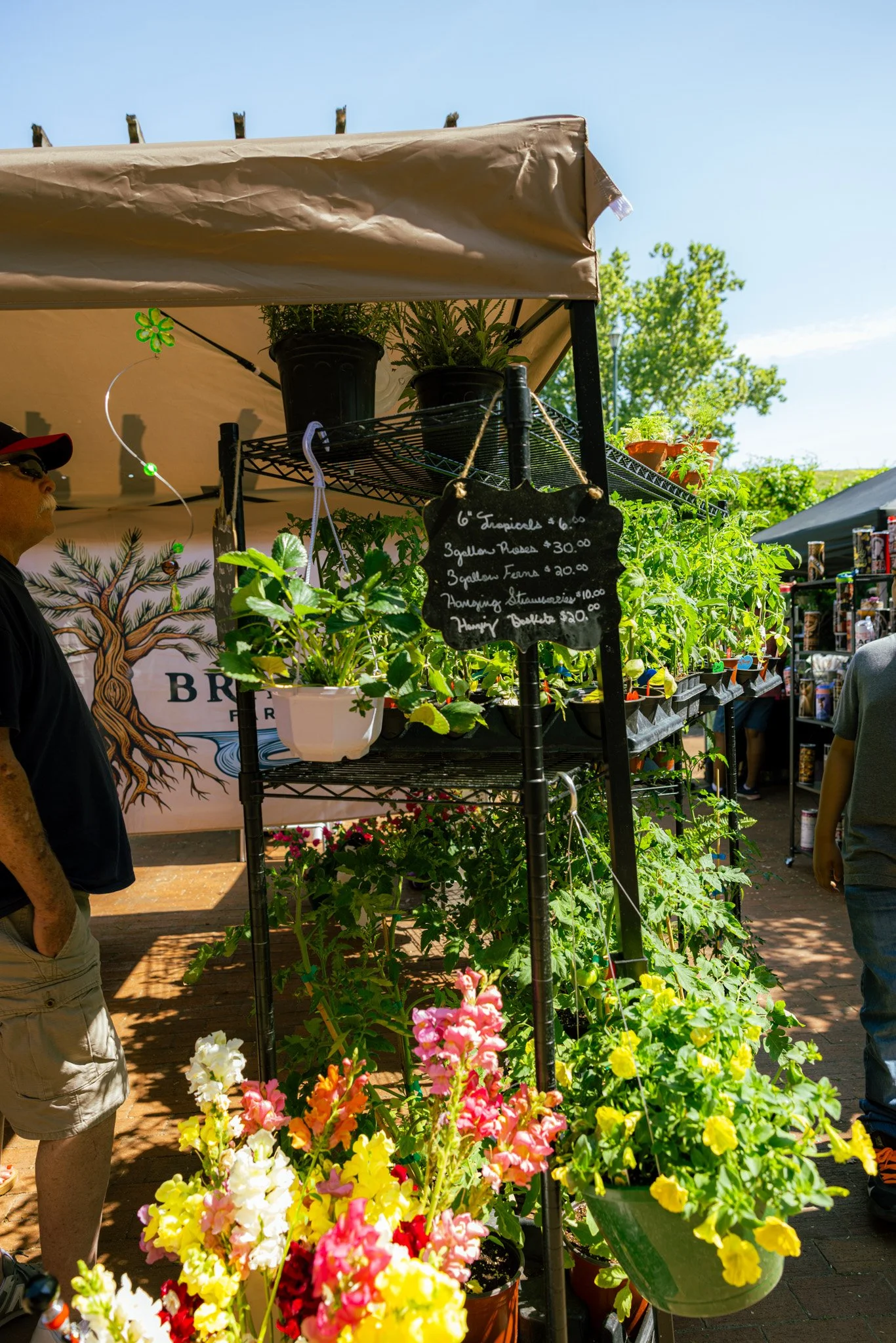 SaturdayMarket-17 (1).jpg