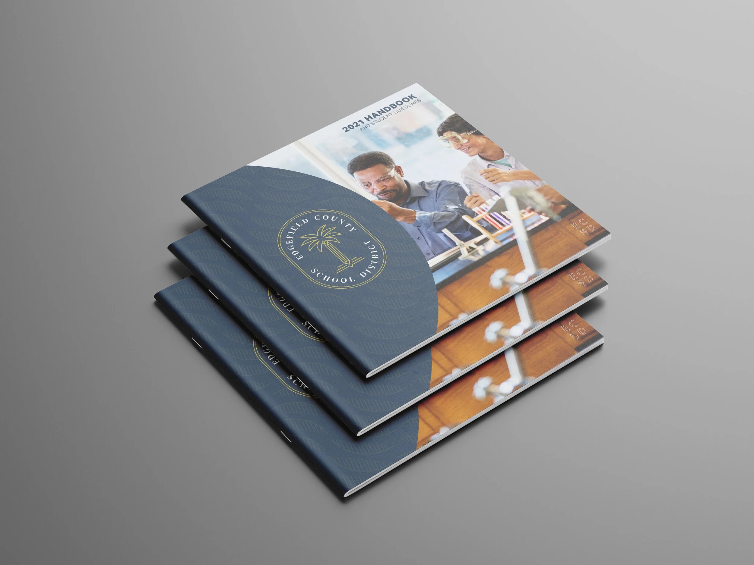 ECSD-Brochure-v2.jpg