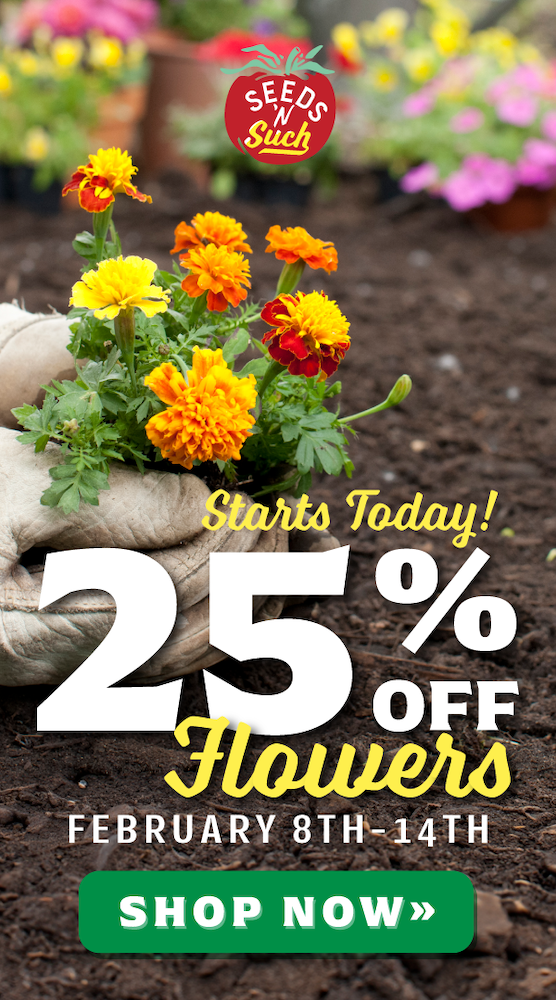SEEDS_020.25_offFlowers_600-1.png