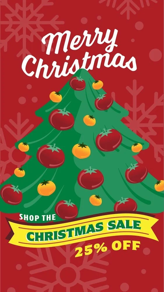 SEEDS_020.Christmas_paid_Story-1.jpg