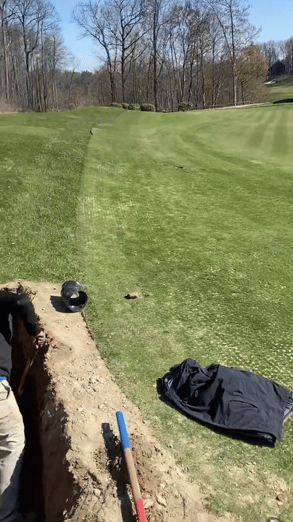 IMG_0143-1280-high.gif