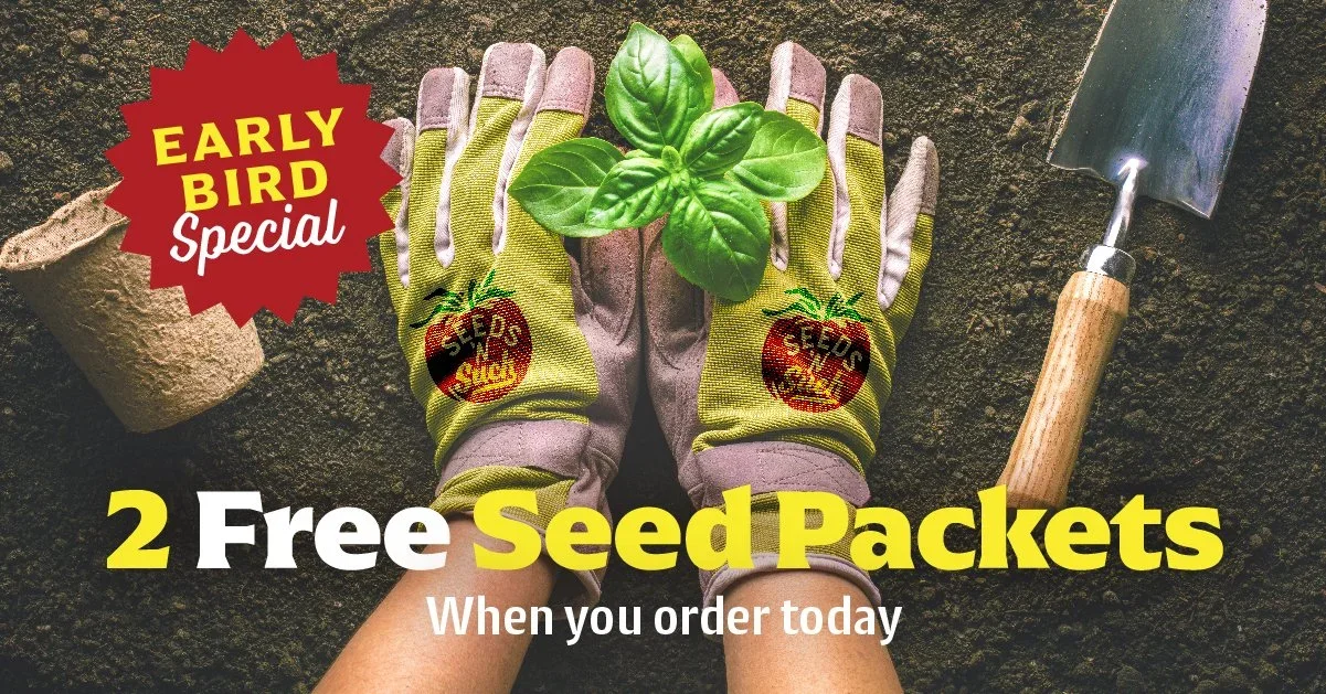 SEEDS_2023-2024Campaign_Launch_Social_EarlyBird1_1080x1080+copy.webp