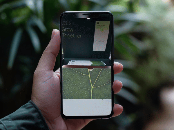 Seeds ‘n&nbsp;Such Influencer Campaign