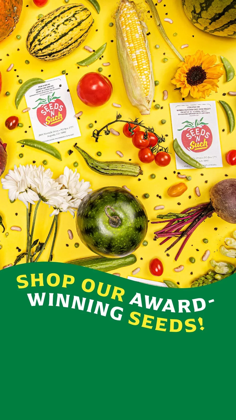 SEEDS_2023-2024Campaign_Launch_Social_CampaignRetarget1_1080x1920.webp