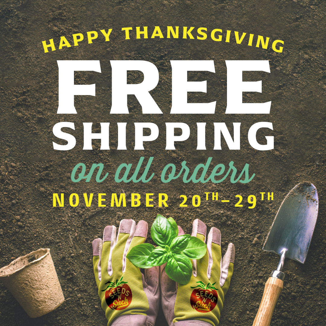 SEEDS_020.ThanksgivingSalePaidMediaAssets_Thanksgiving2_1080x1080.png
