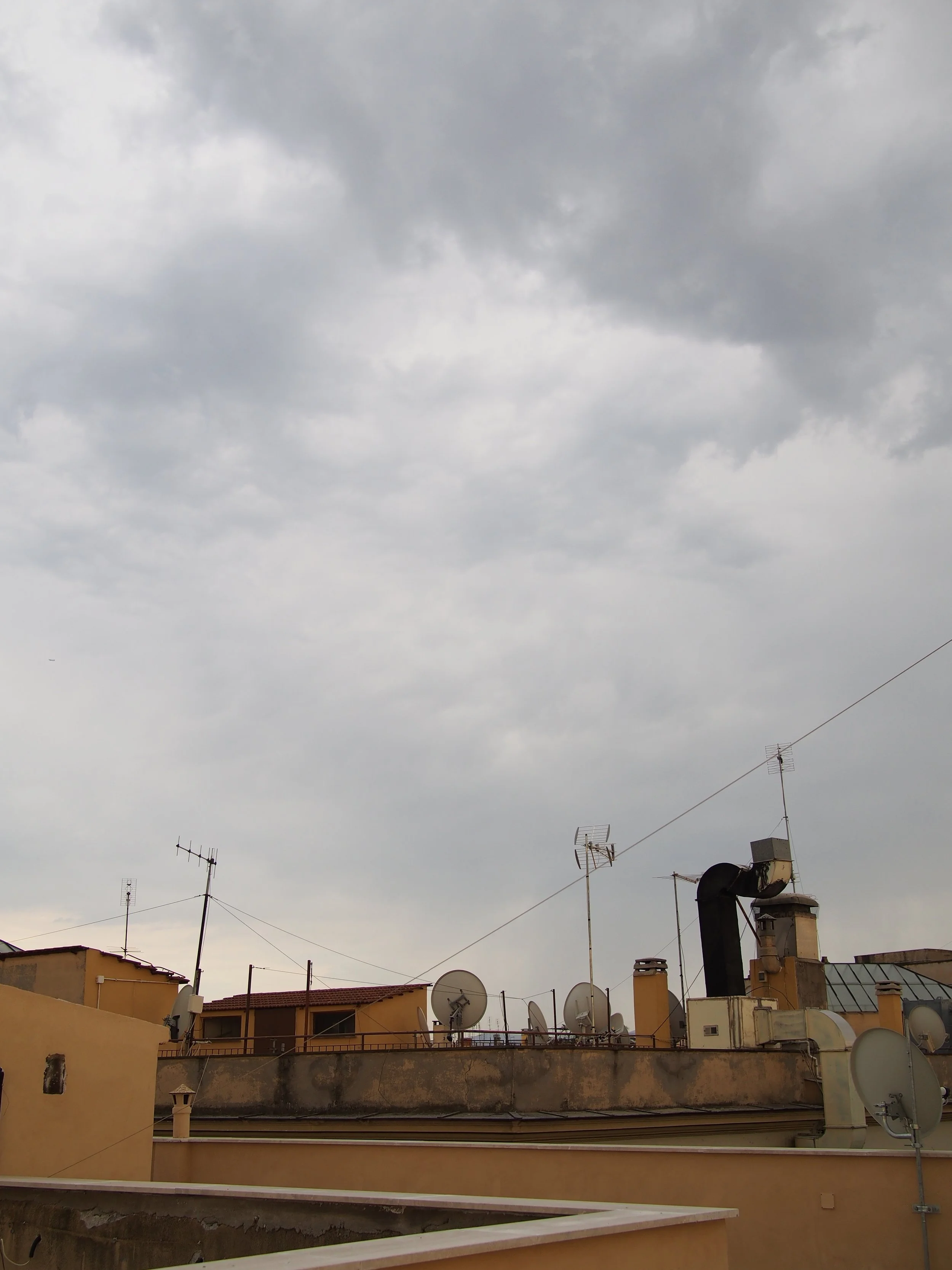 P7238480.jpg