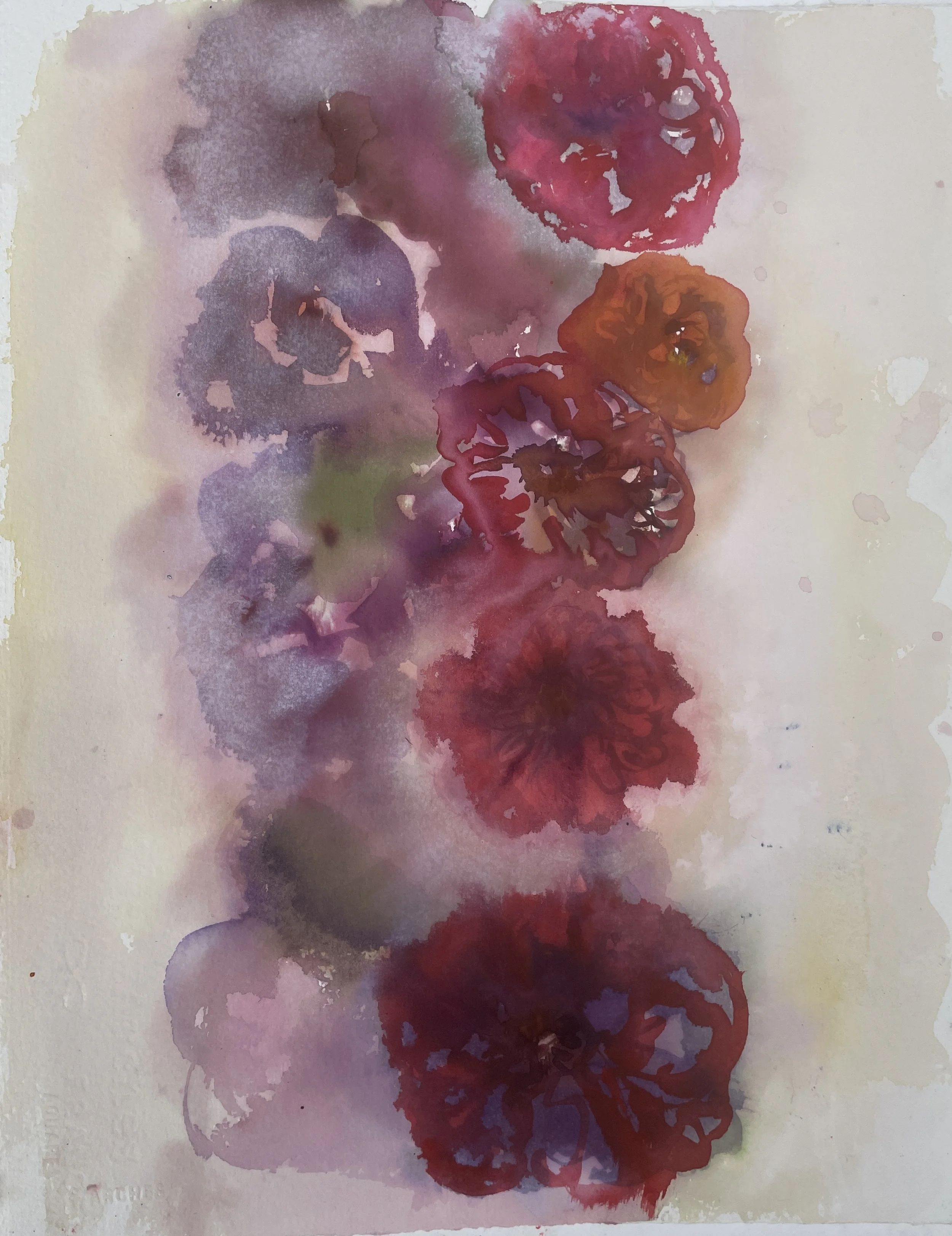 apparition, garden 4, watercolor, 15 x 11.JPG