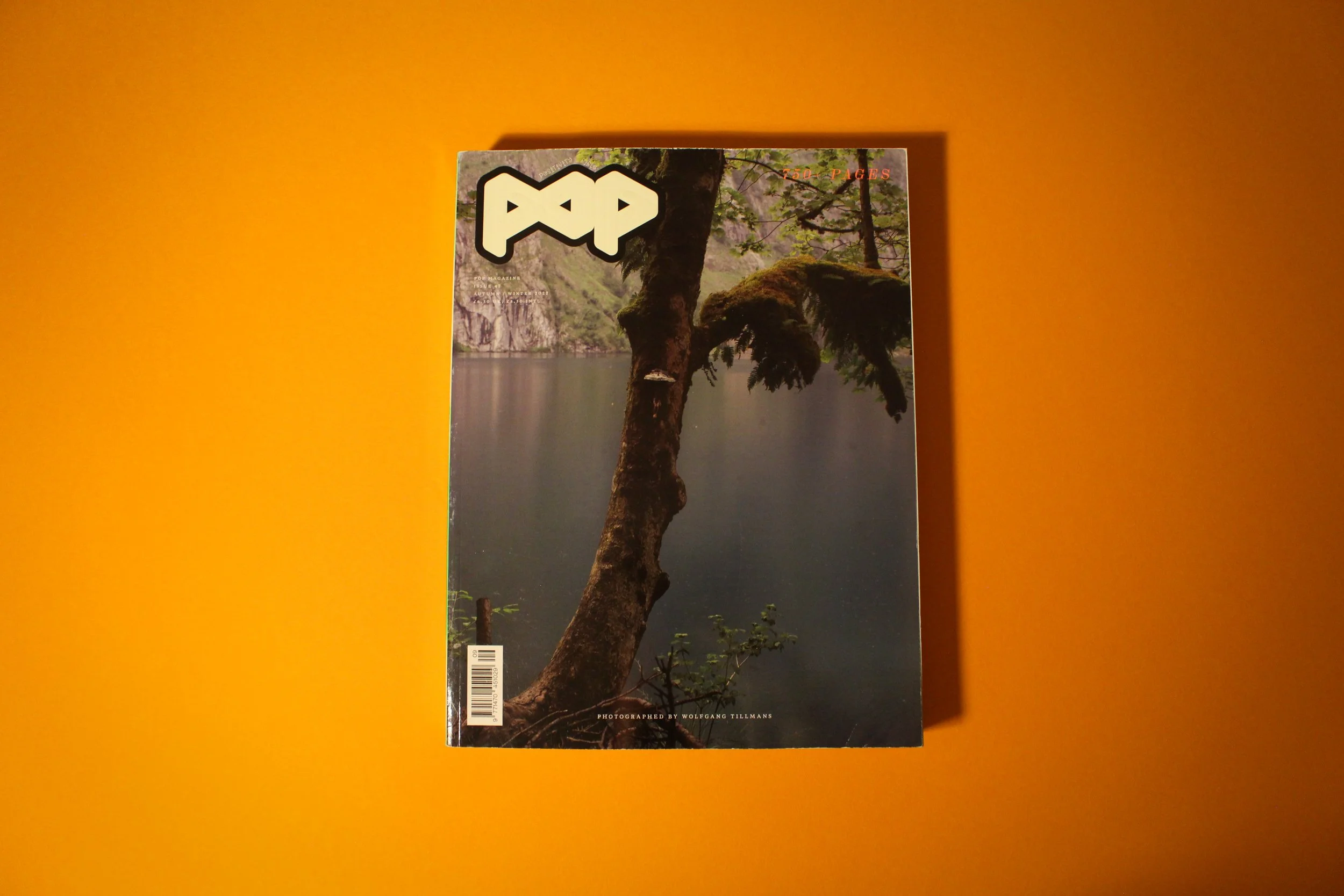 Pop Issue 47-5.jpg
