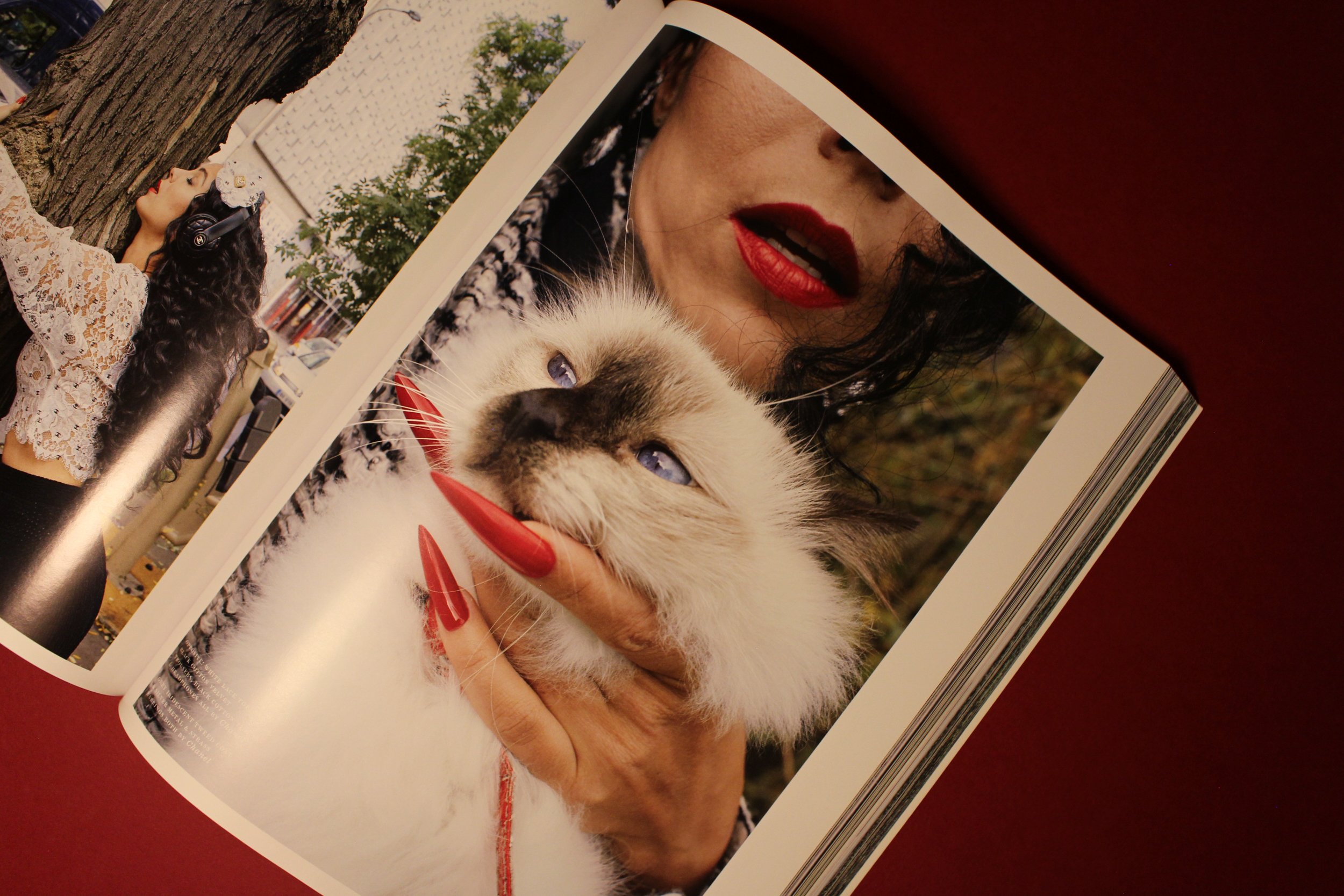 Pop Issue 43-6.jpg