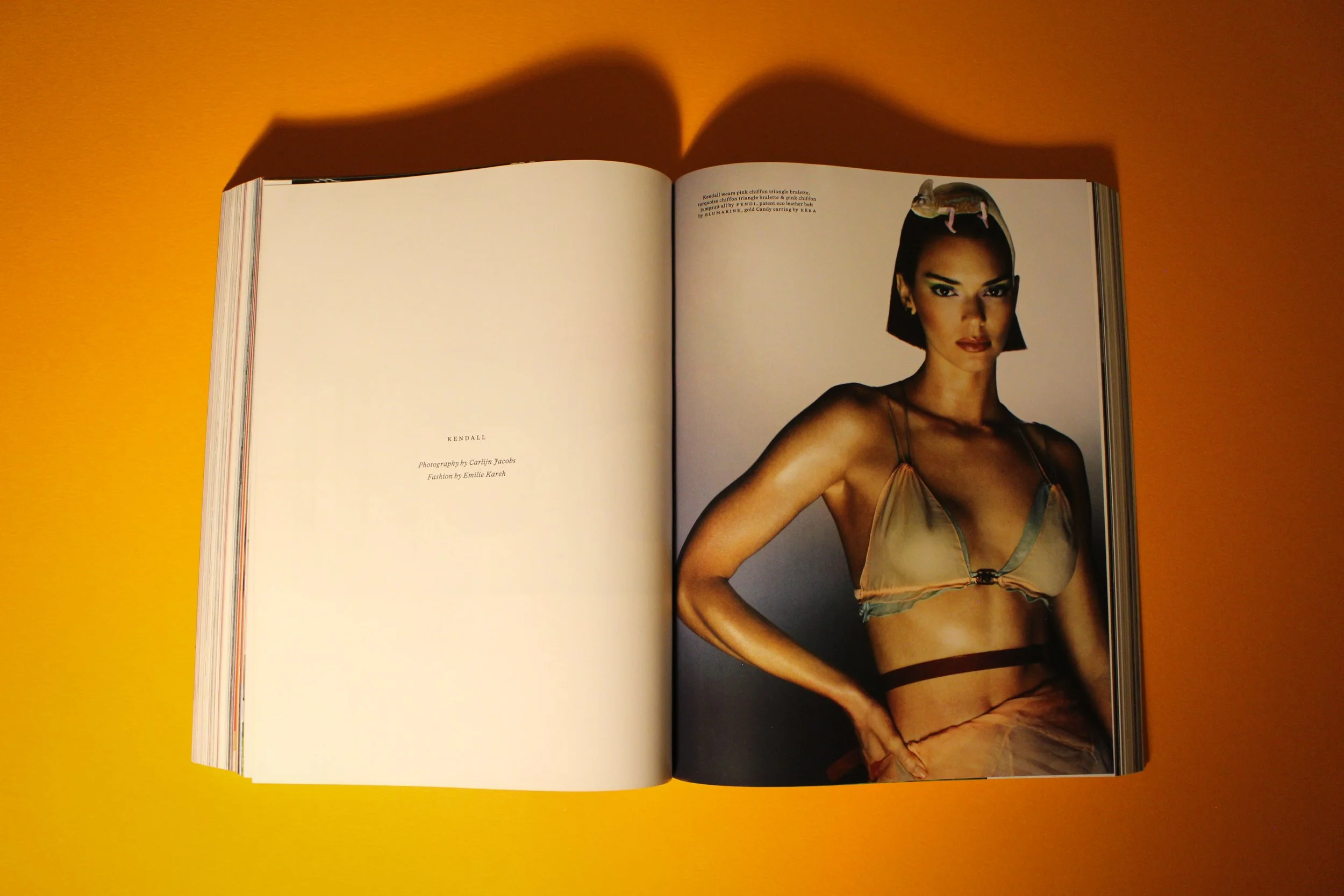 Pop Issue 47-2.jpg