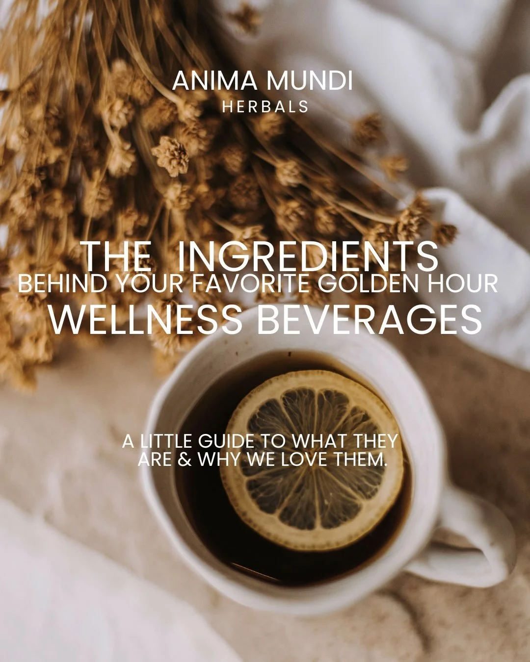 A wellness brand we have trusted for years- Anima Mundi Herbals. A simple addition to your day, to support your body mind and soul. Stress, brain fog, fatigue, dehydration, sickness, anxiety, beauty&hellip; we got you covered here. Swipe thru our int