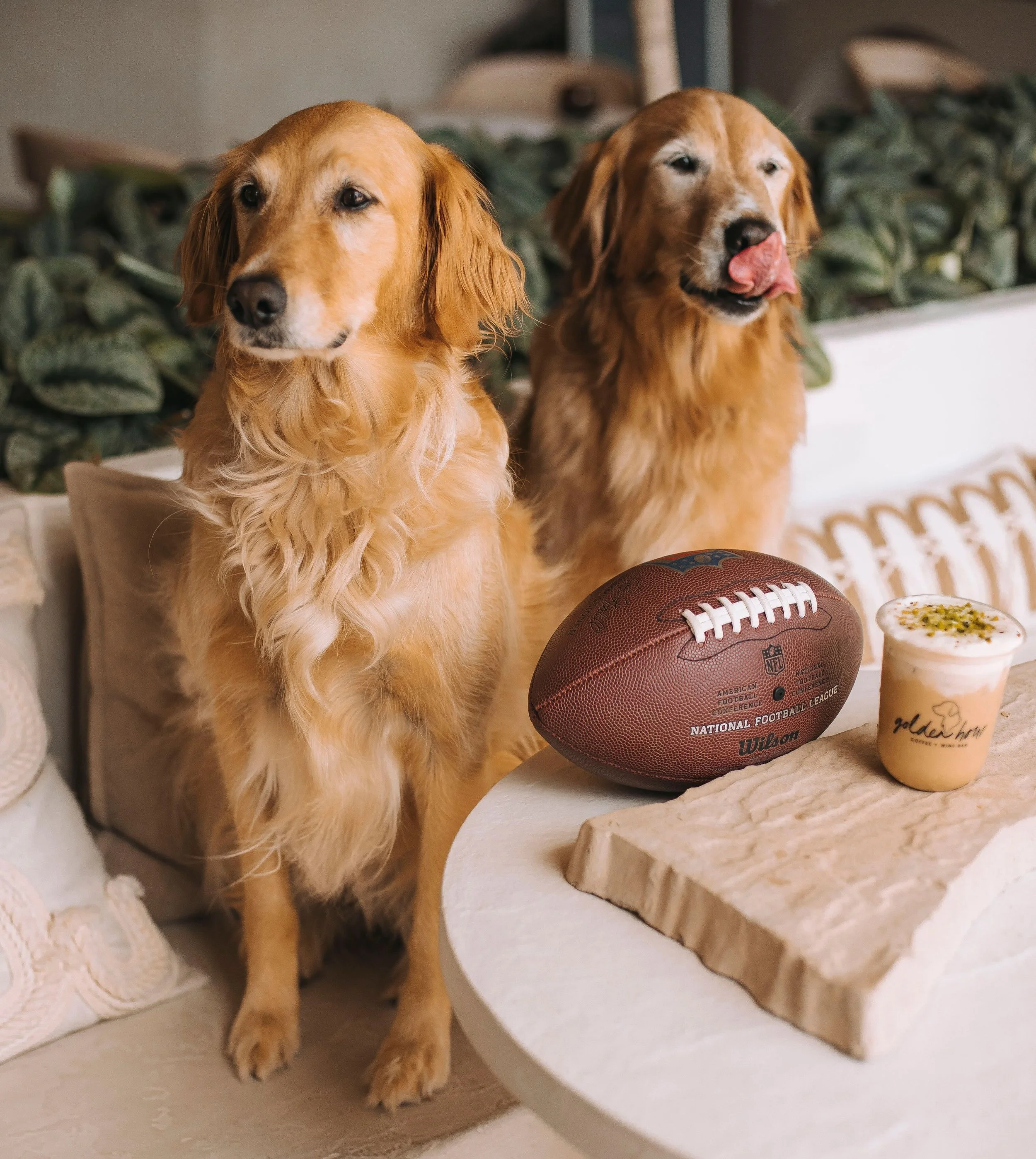 It&rsquo;s officially FOOTBALL SUNDAY! &amp; we&rsquo;re kicking it off the only way we know how&hellip; with a little caffeine and a whole lot of team spirit! 📣

Our Green &amp; Golden Latte is the perfect game day sip. A salted pistachio latte wit