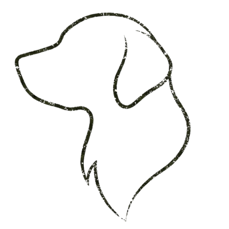 Golden Hour Coffee + Wine