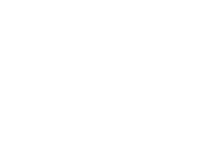 Logo for Media Musical America 250, featuring a stylized bear and stars.