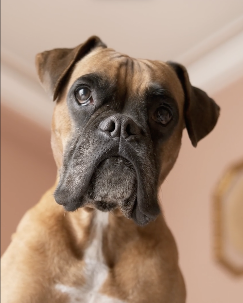 Screenshot 2026-03-13 at 15.01.24.png