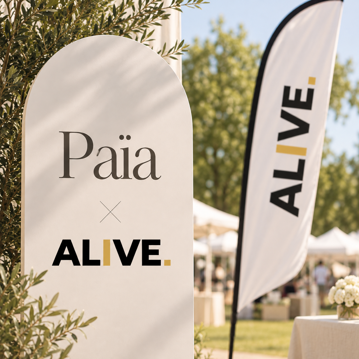Paia x Alive Festival