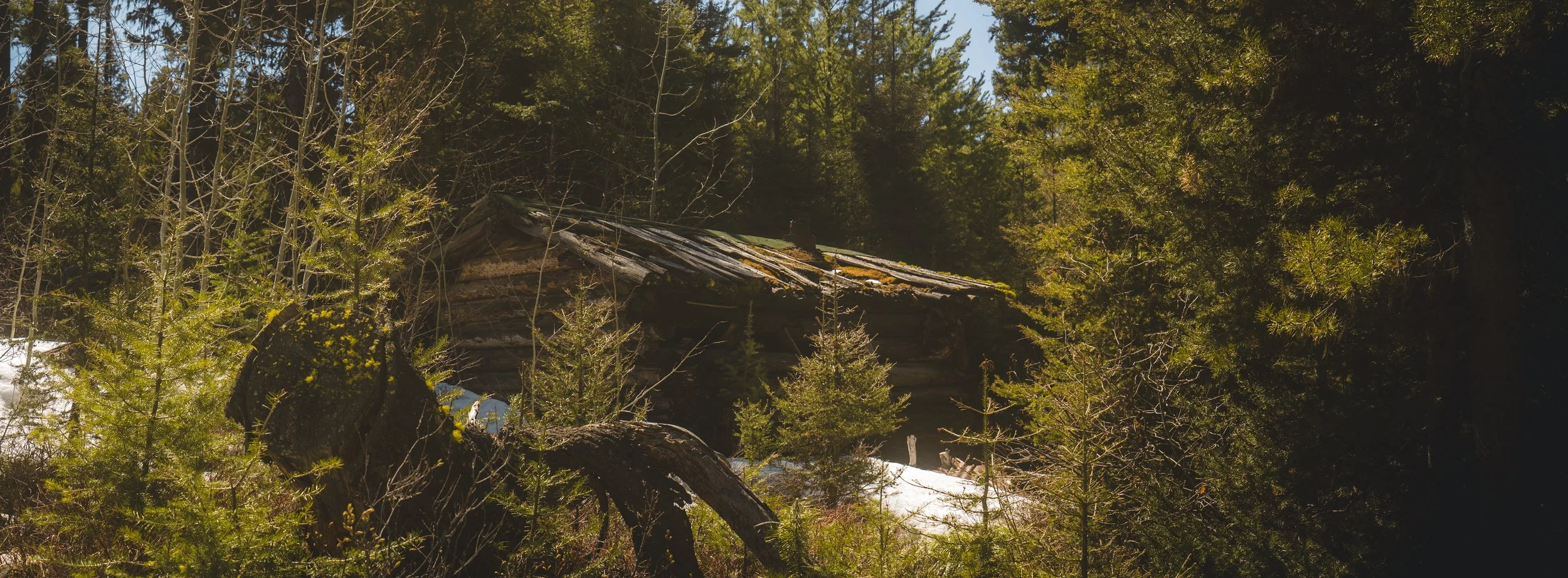 DSC_6715.jpg