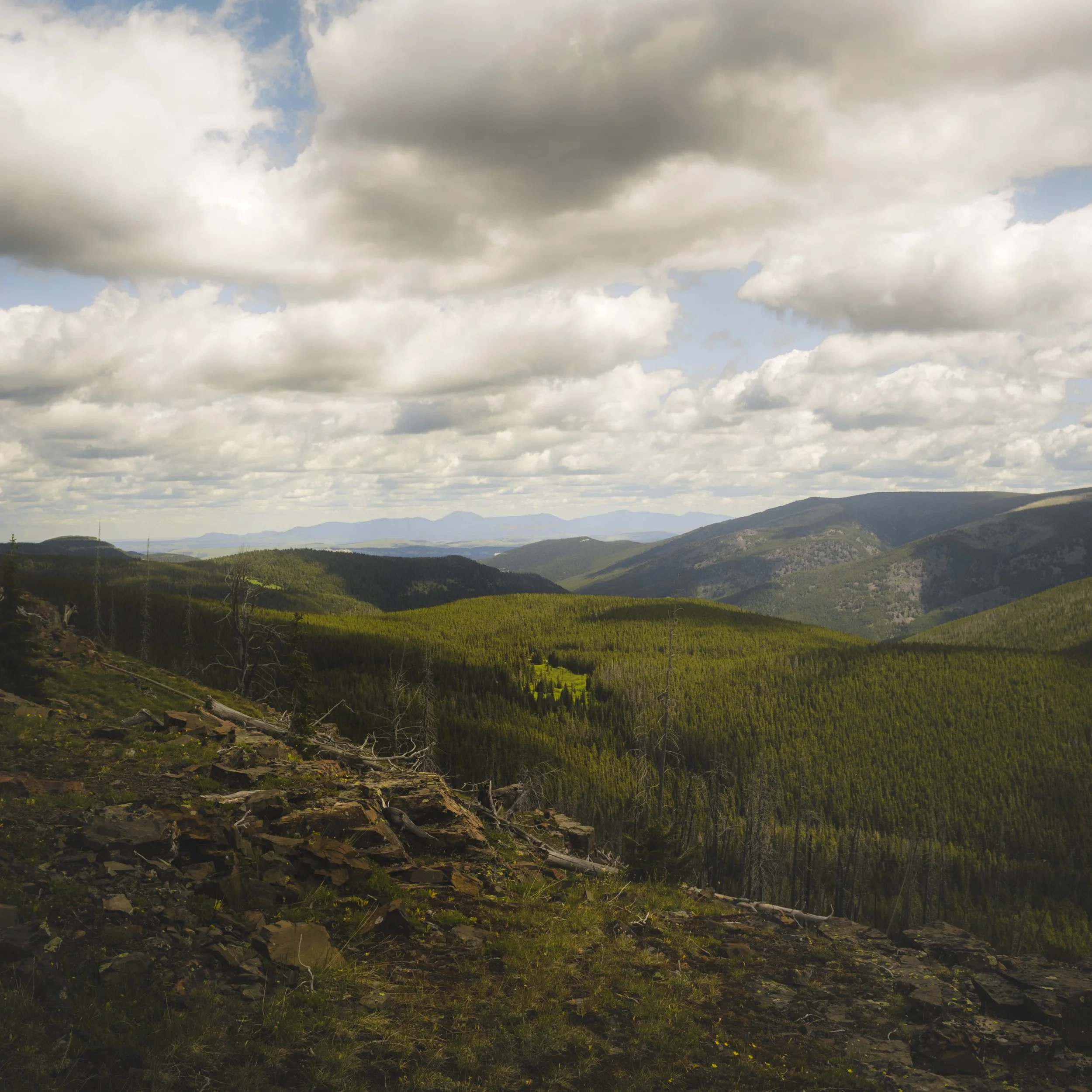Standing in the High Country