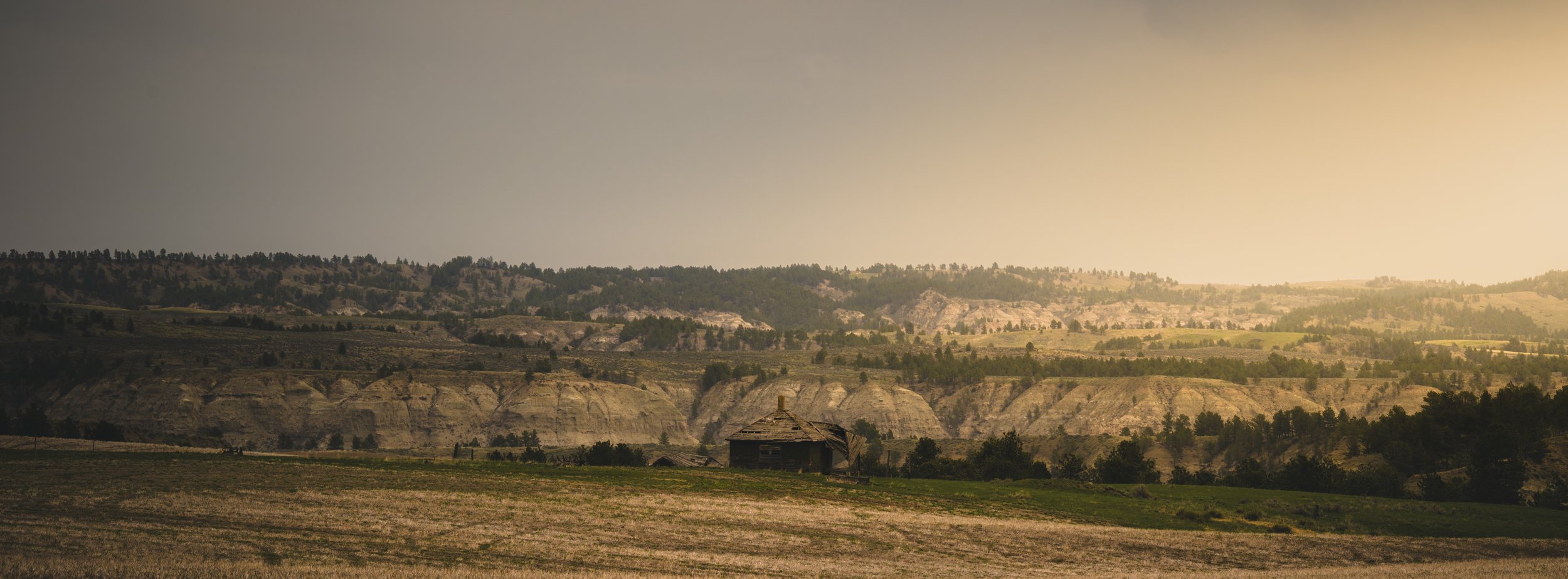 DSC_6492.jpg
