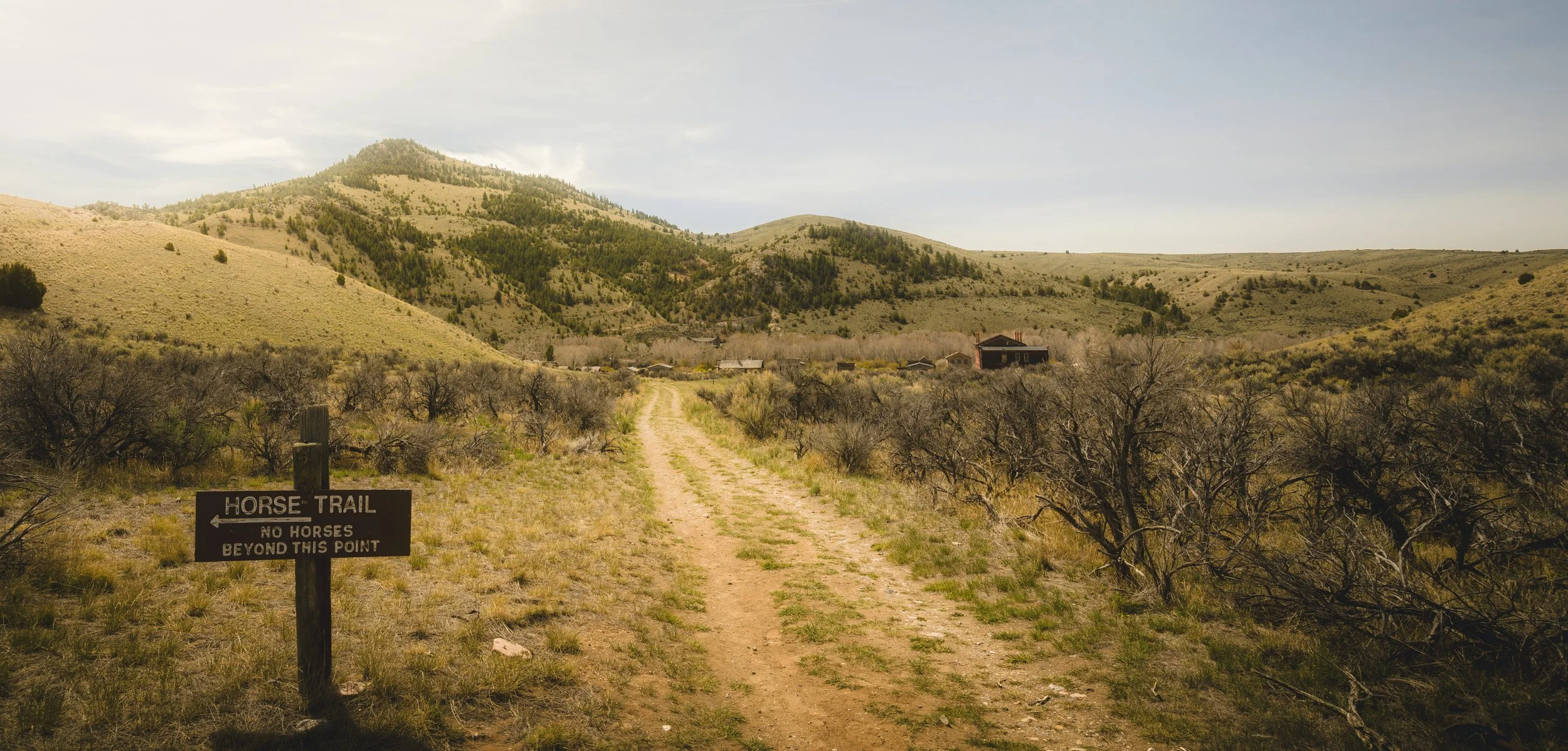 DSC_6886-Pano.jpg