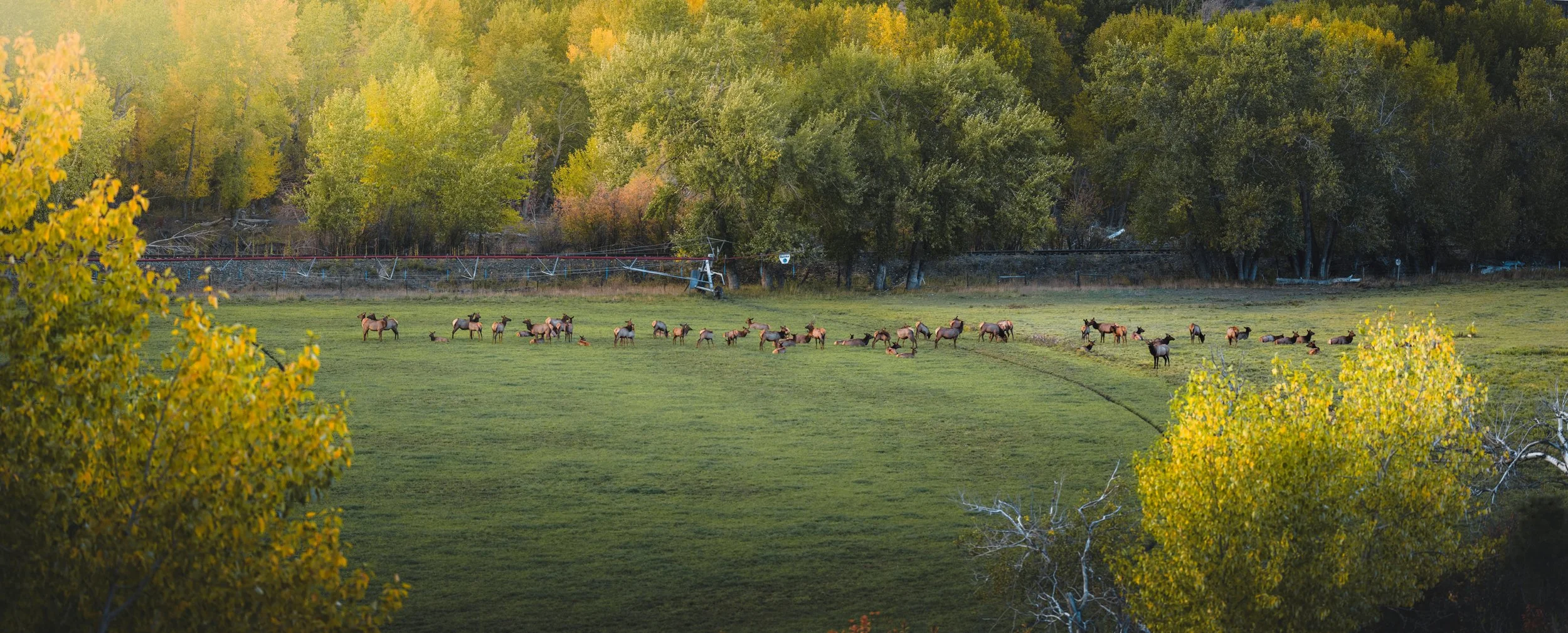 DSC_3503-Pano lower.jpg