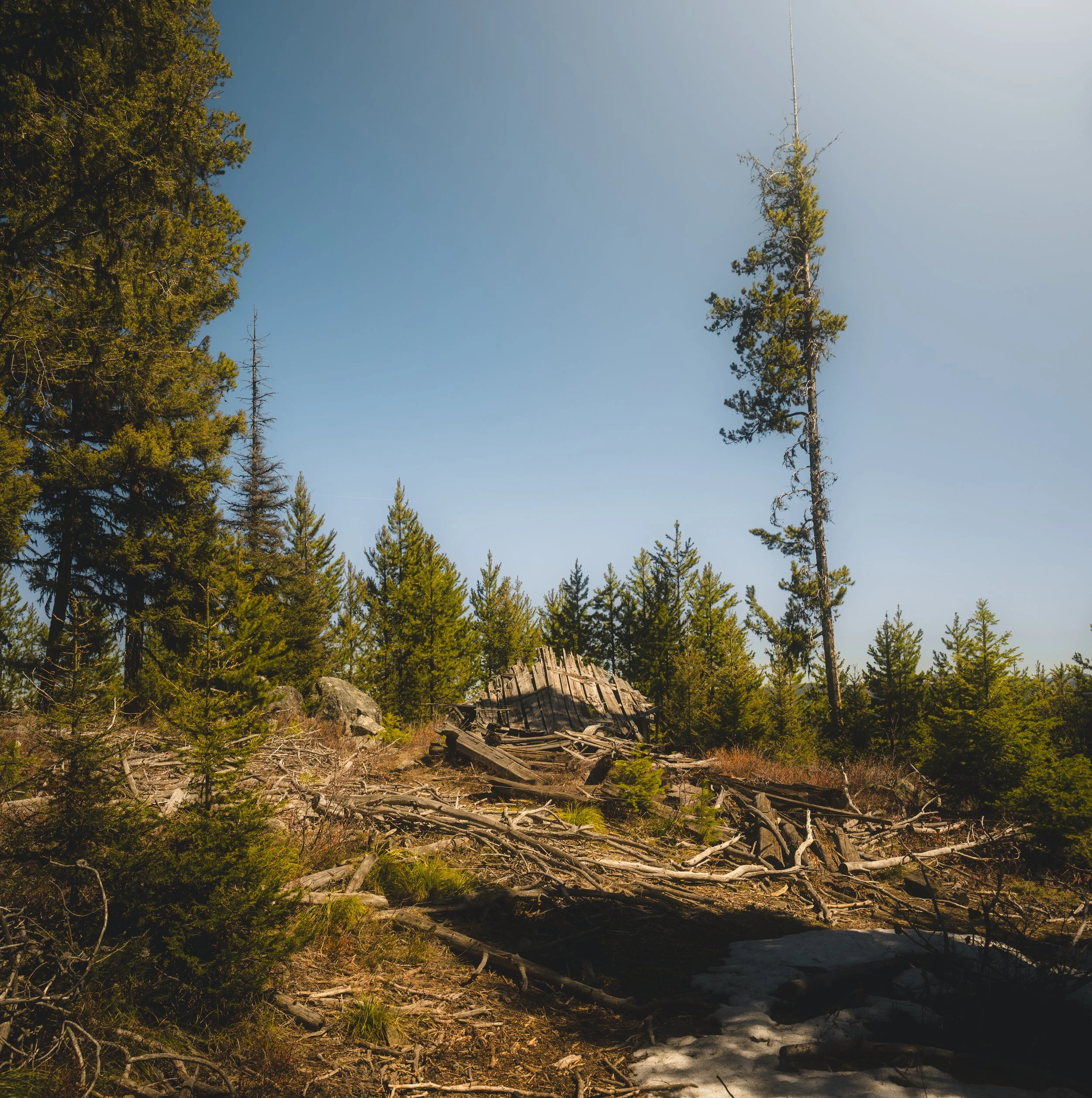 DSC_6677-Pano.jpg
