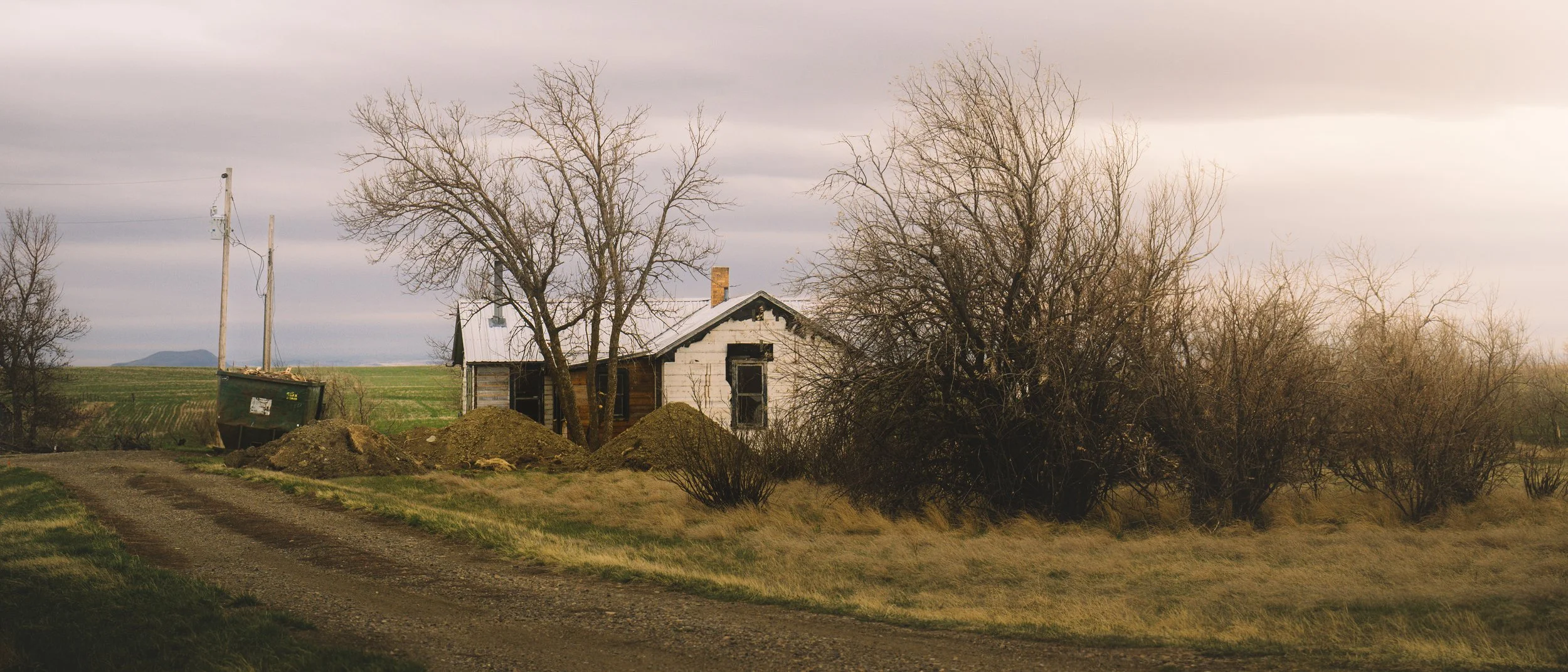 DSC_6313.jpg