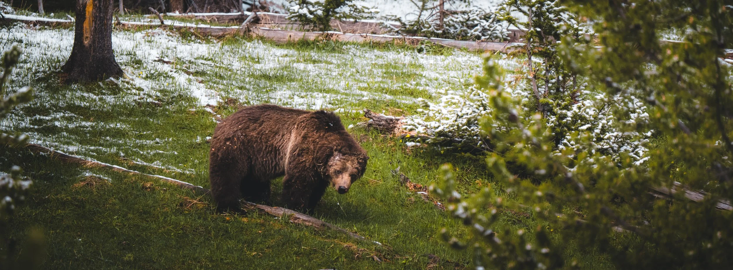DSC_7764.jpg