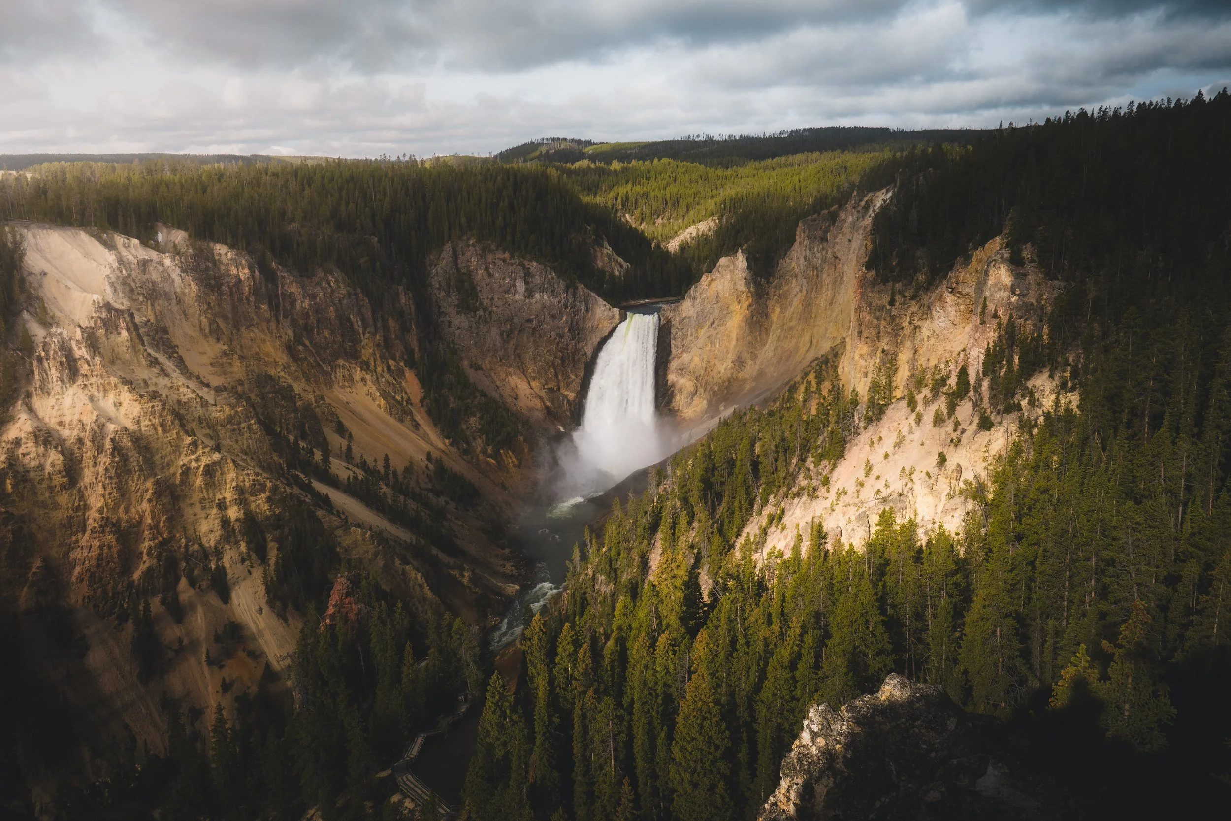 Where the Wild Still Roams