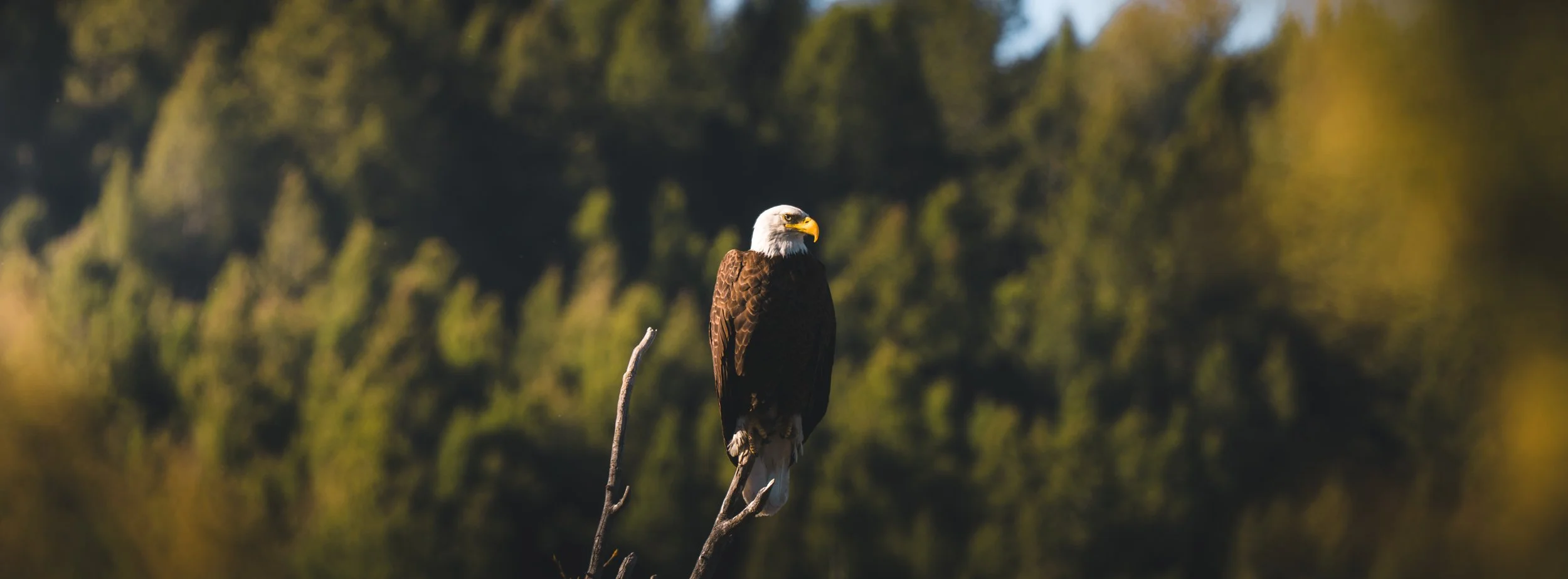 DSC_7186.jpg