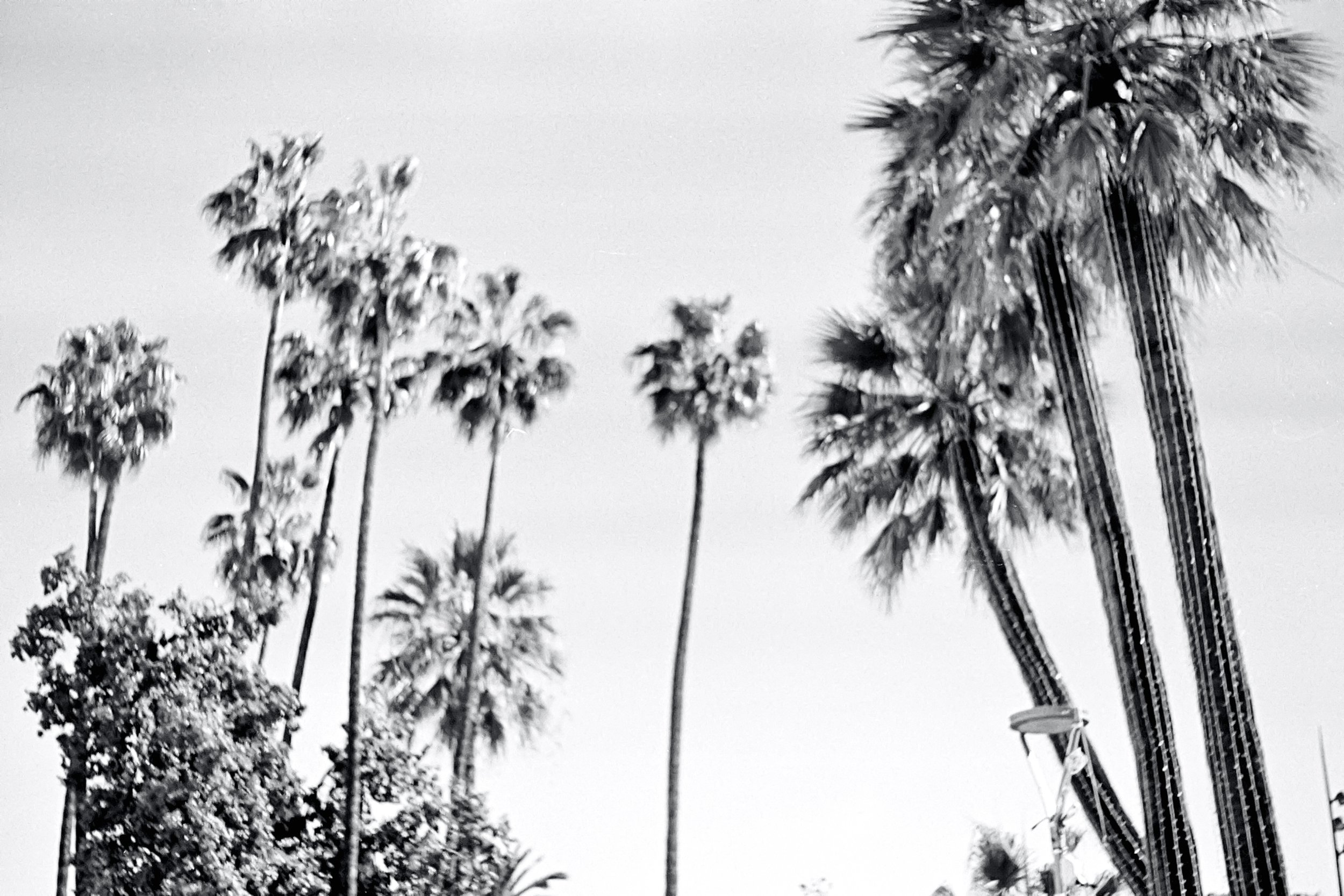 Praktica SuperTL3
Kodak 400 TX