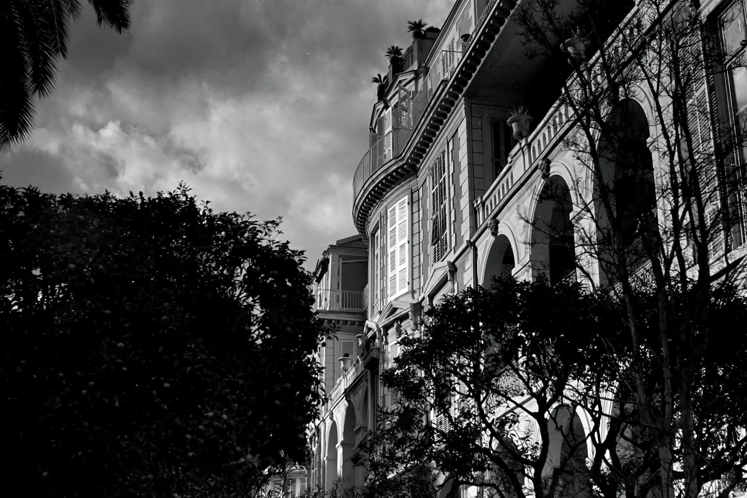 Praktica SuperTL3
Kodak 400 TX