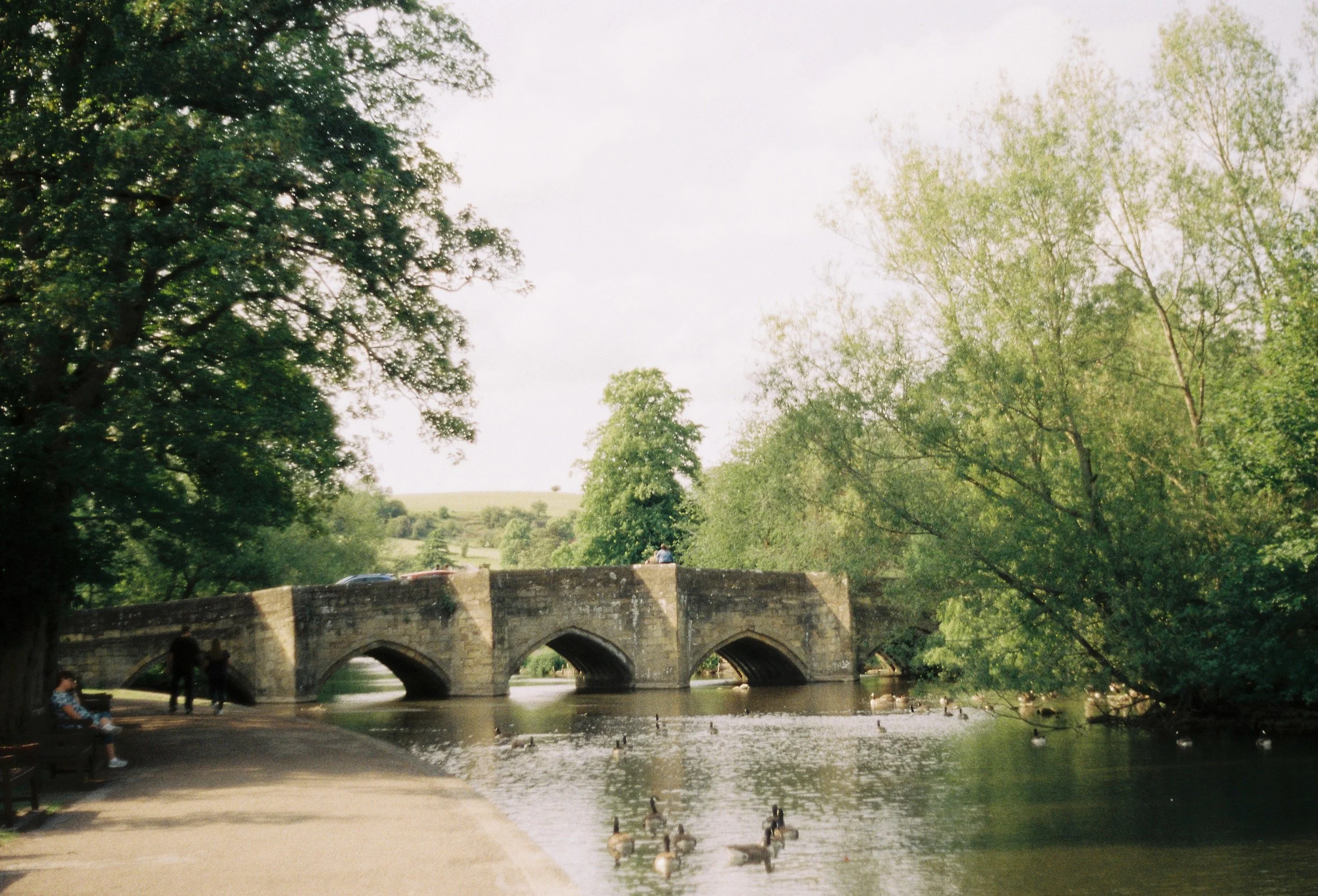 Praktica SuperTL3
Kodak Gold