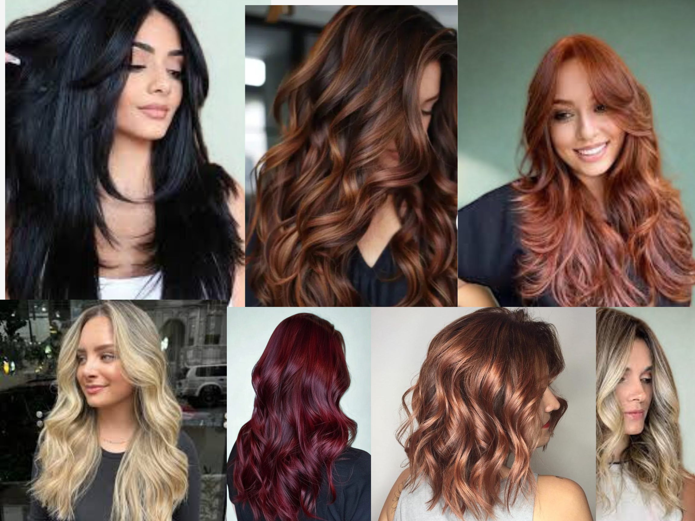 Hair Colour Trends and Expert Tips from a Professional Hair Salon in Calgary