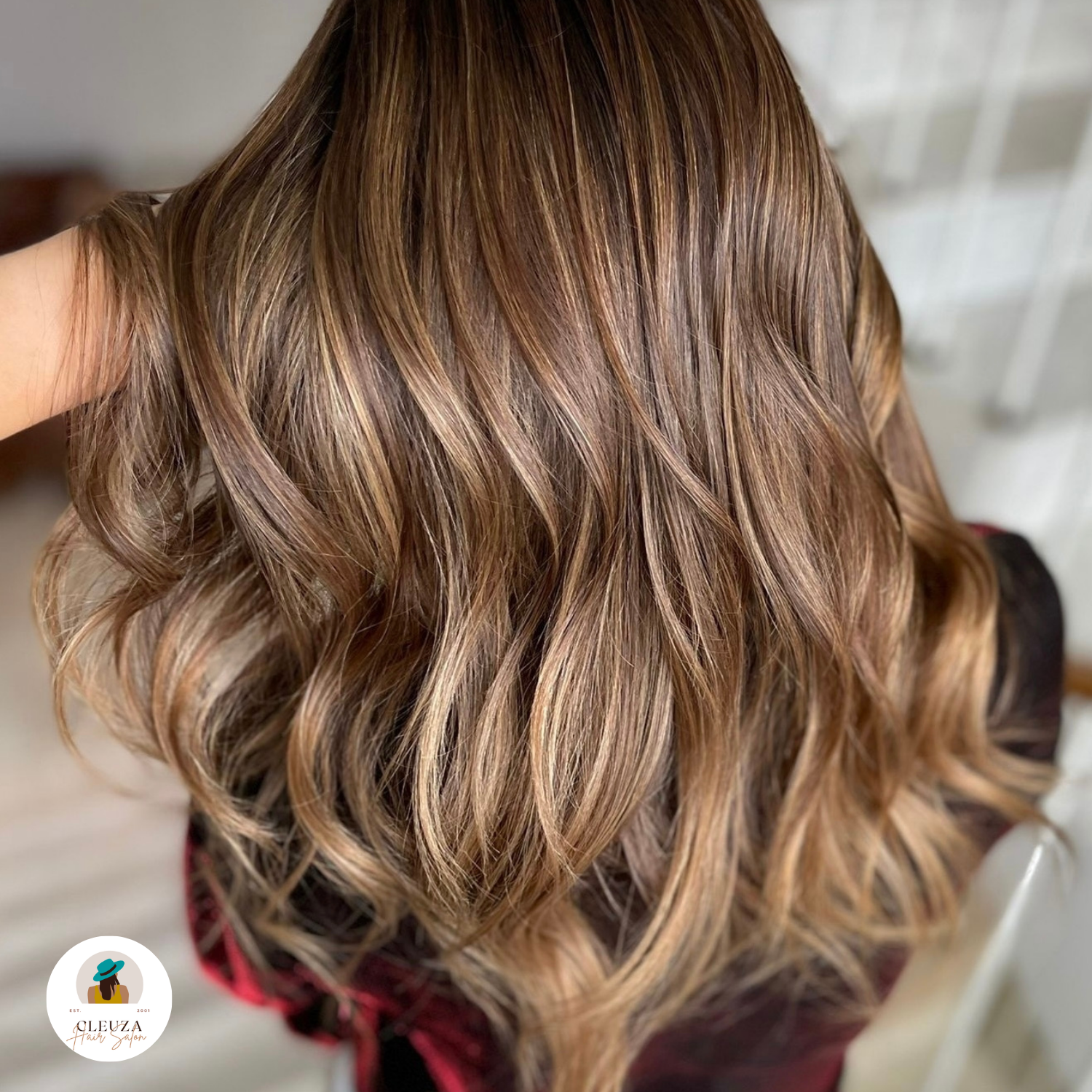 Highlights & Lowlights