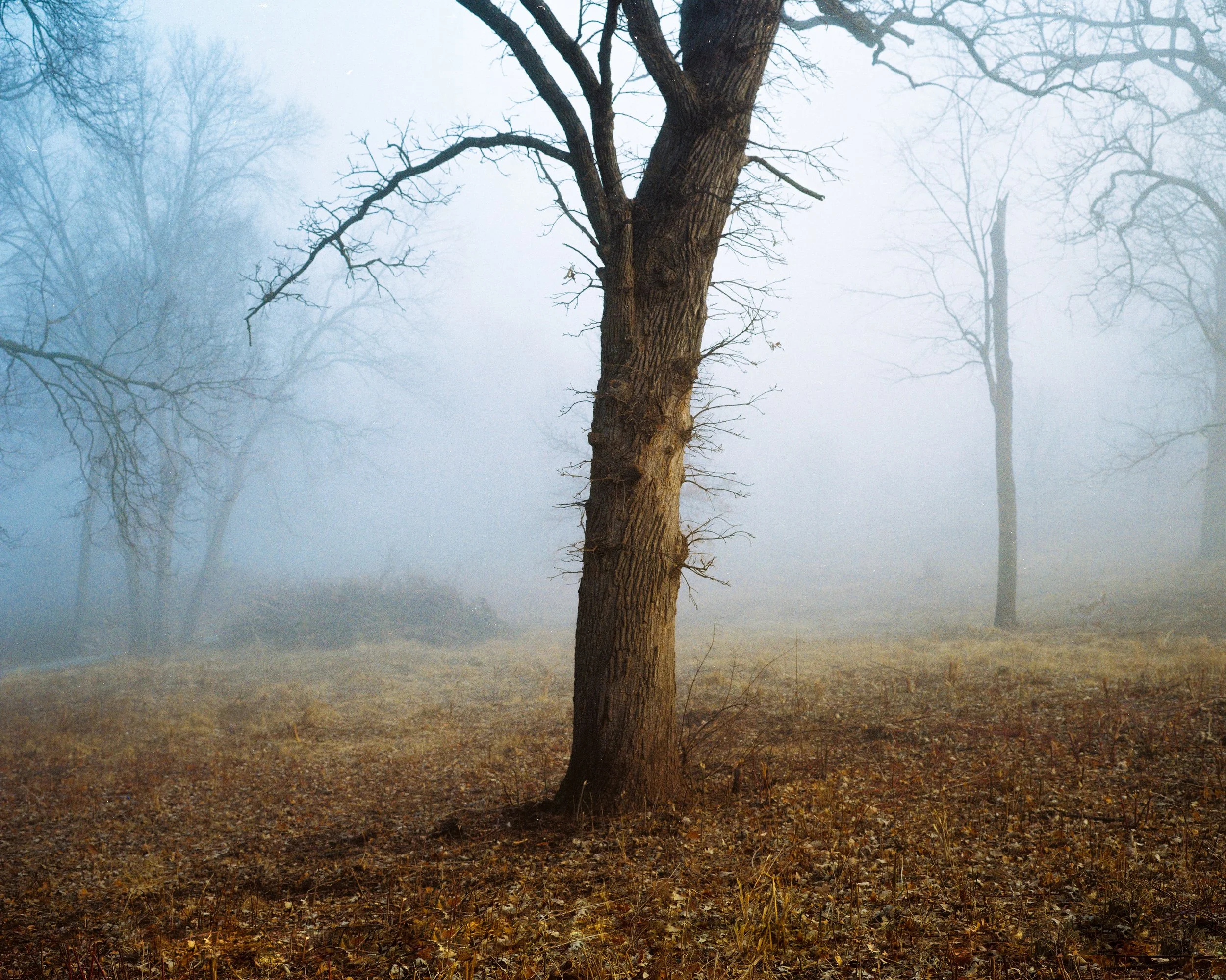 Landscapes