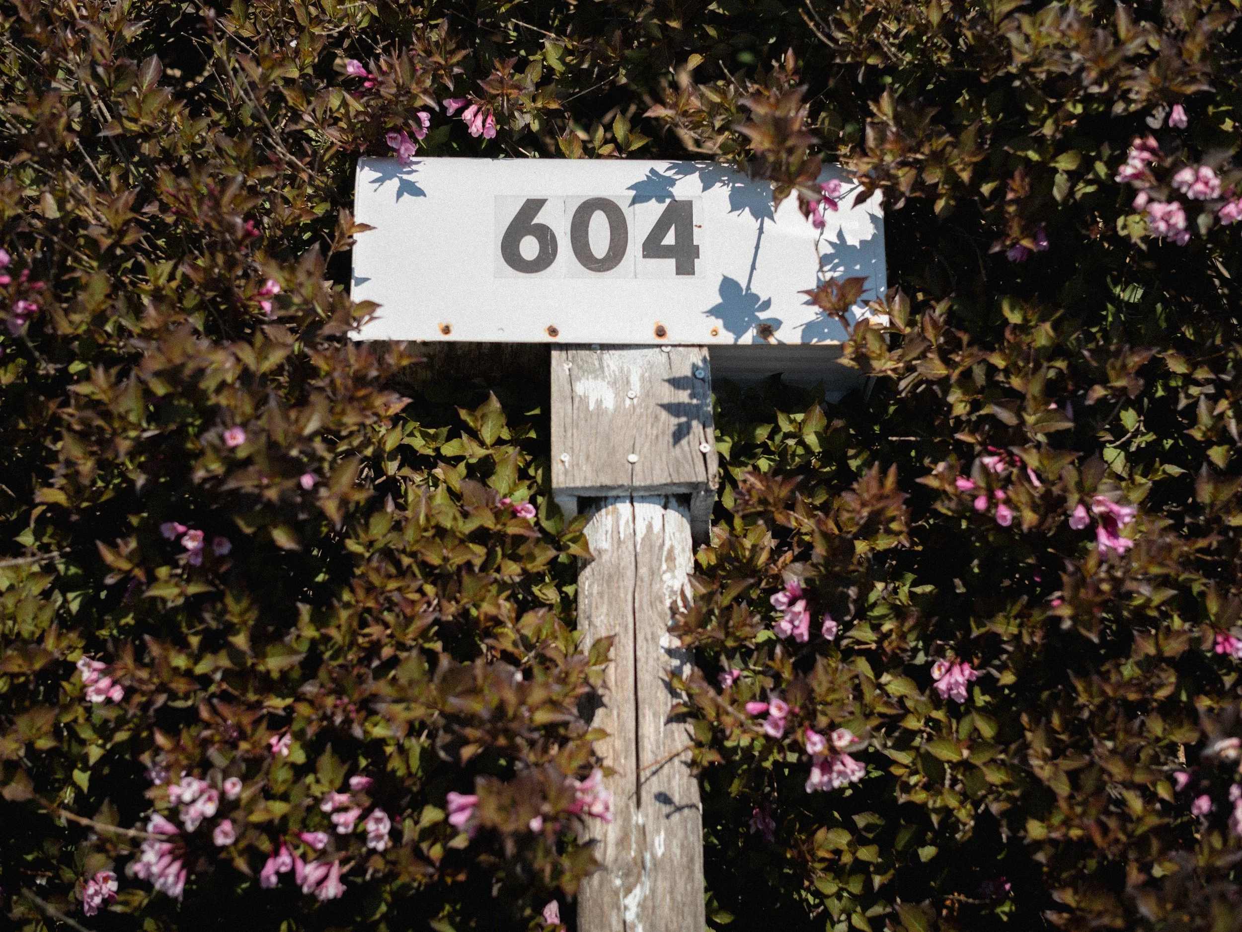 L1001517.jpeg