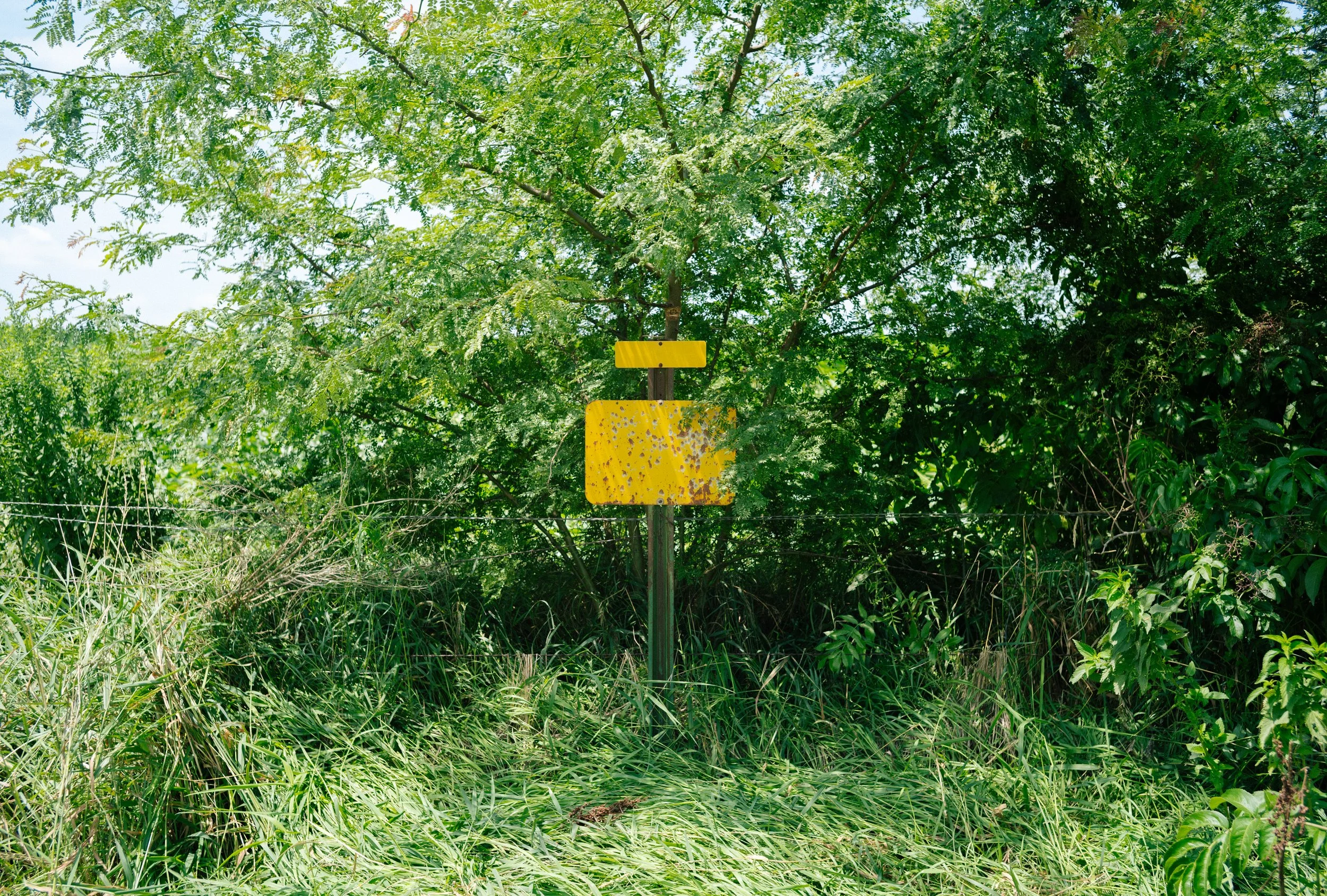 S1110811.jpg