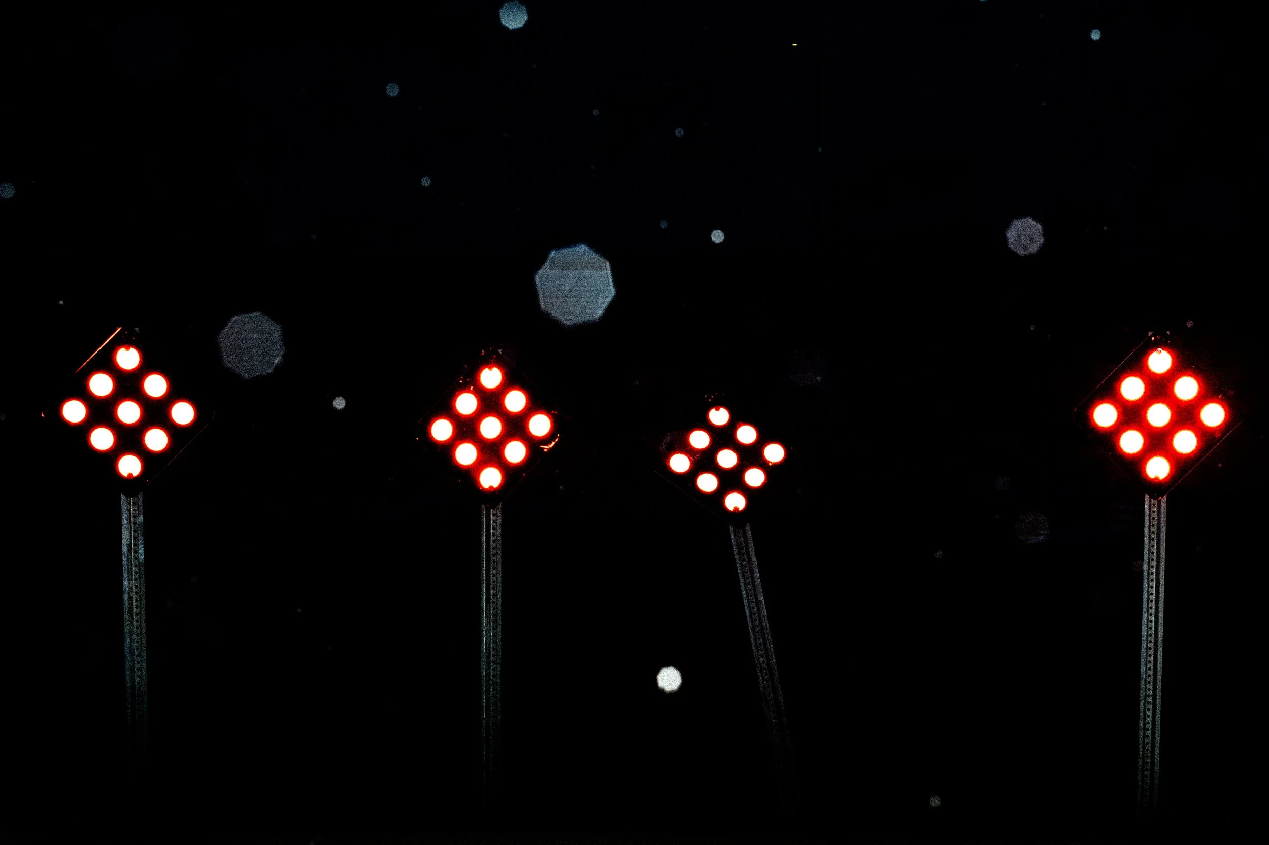 L1001054.jpg