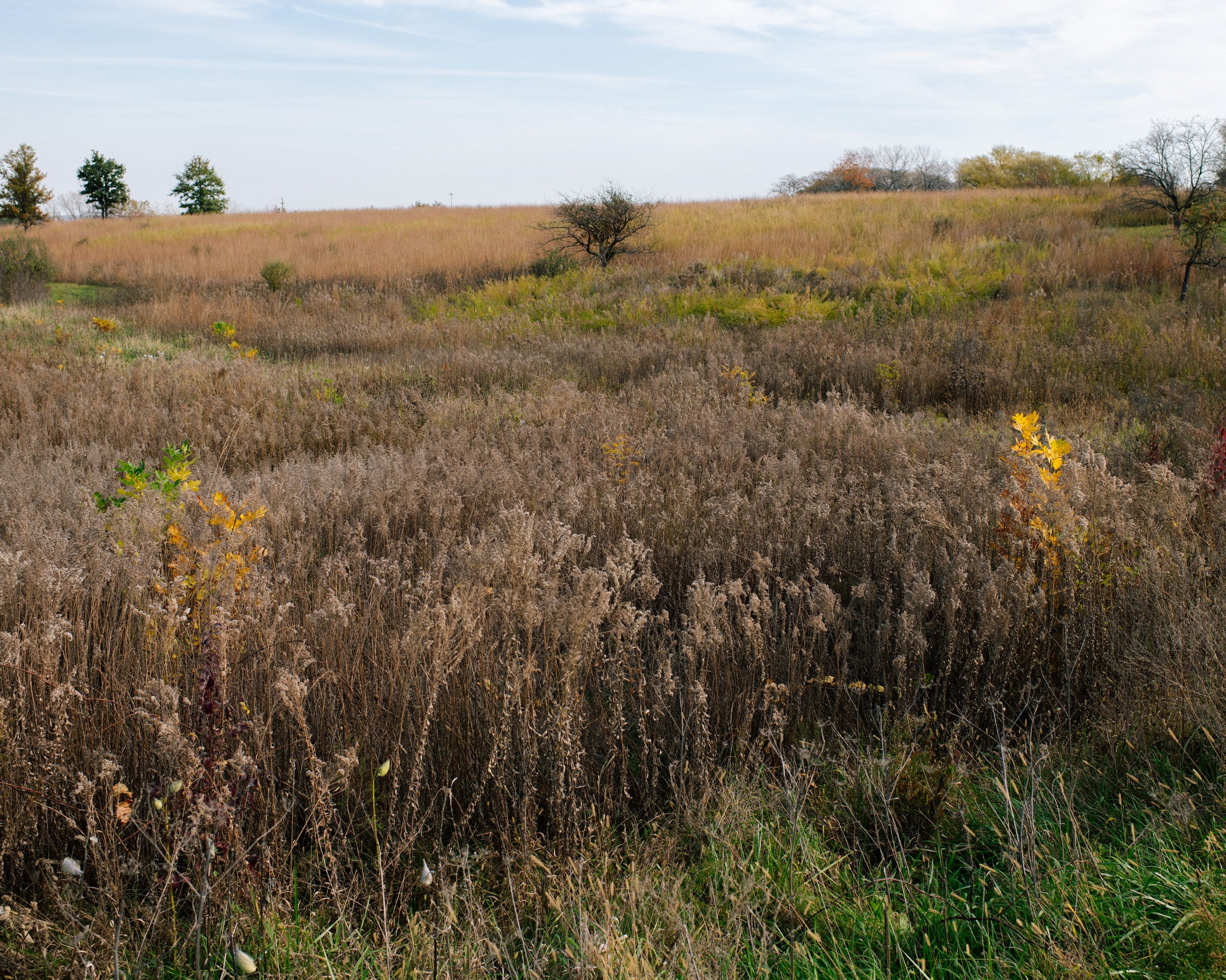 DSC_0866.jpg