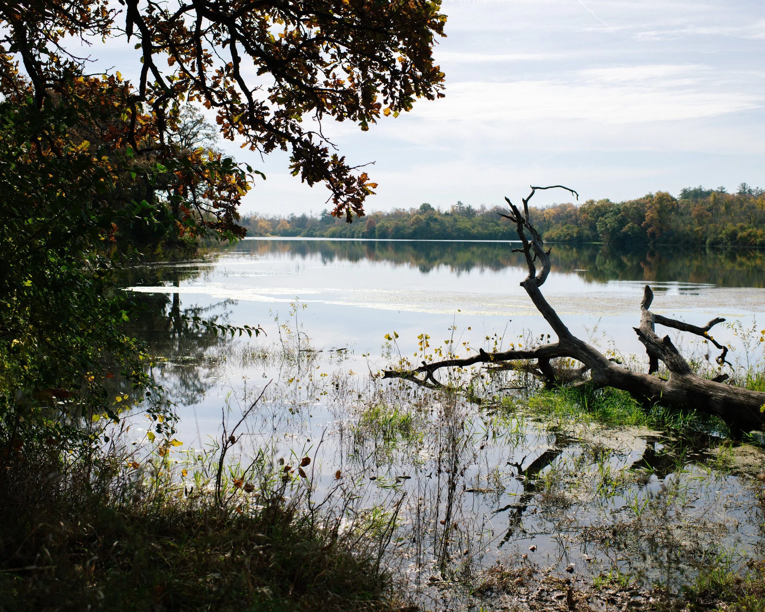 DSC_0886.jpg
