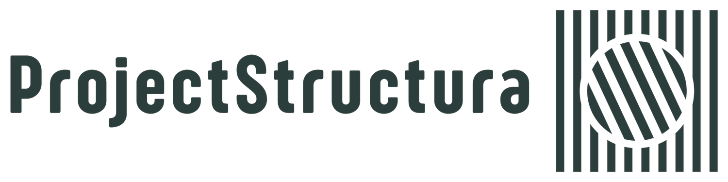 ProjectStructura