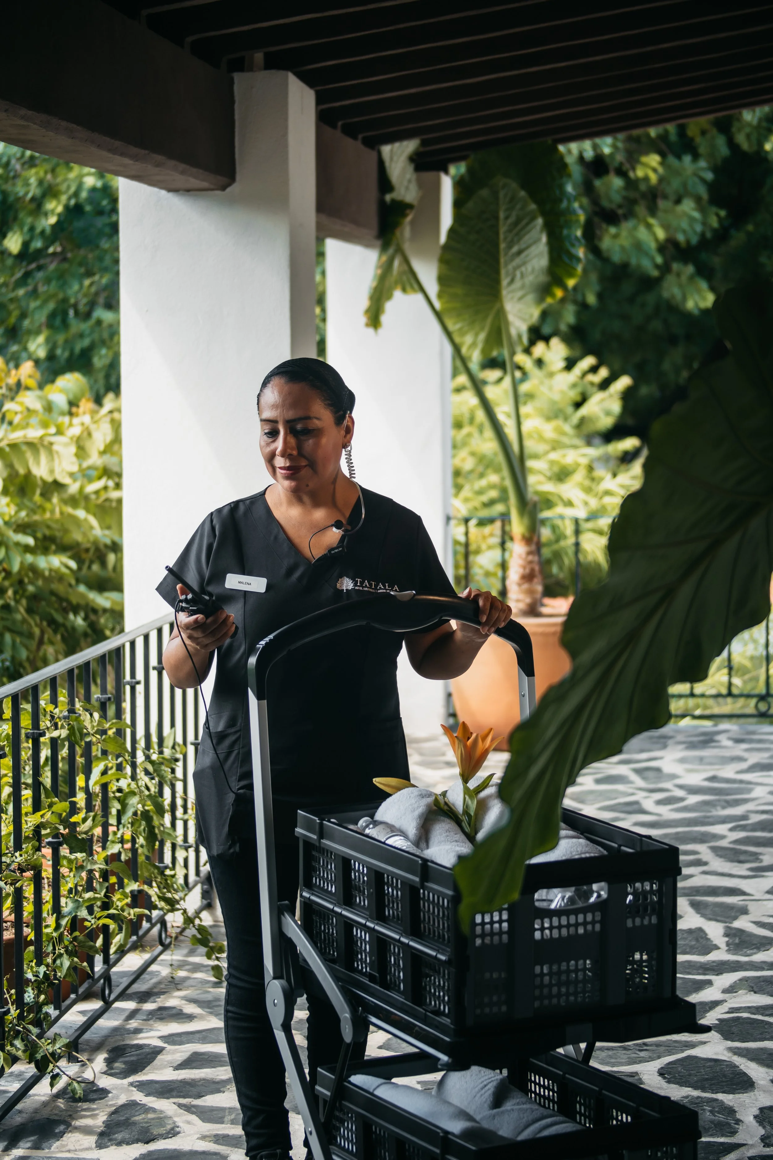 five star service clean safe terrace rooms with a view