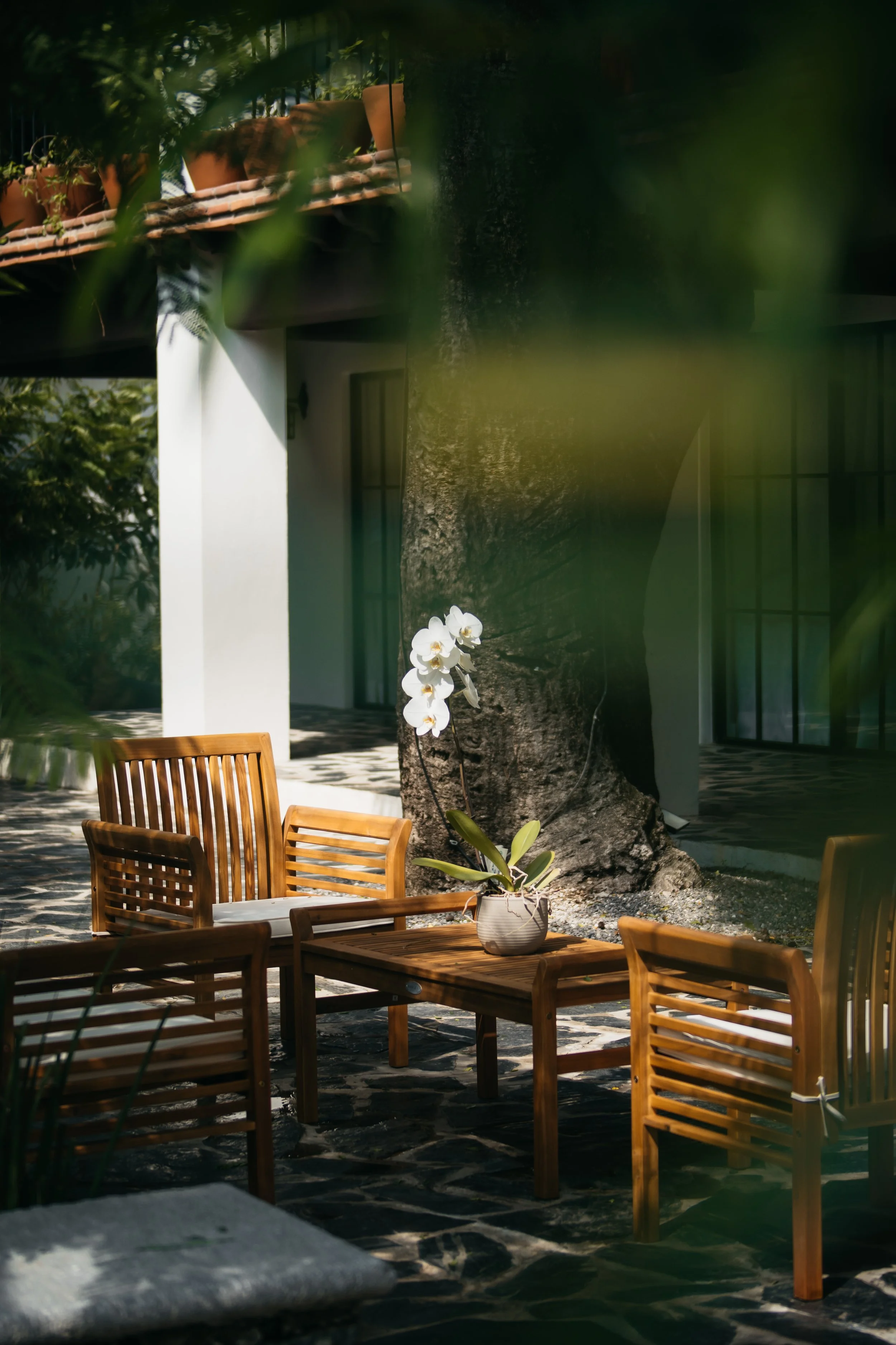 photography lighting restaurant high quality photos