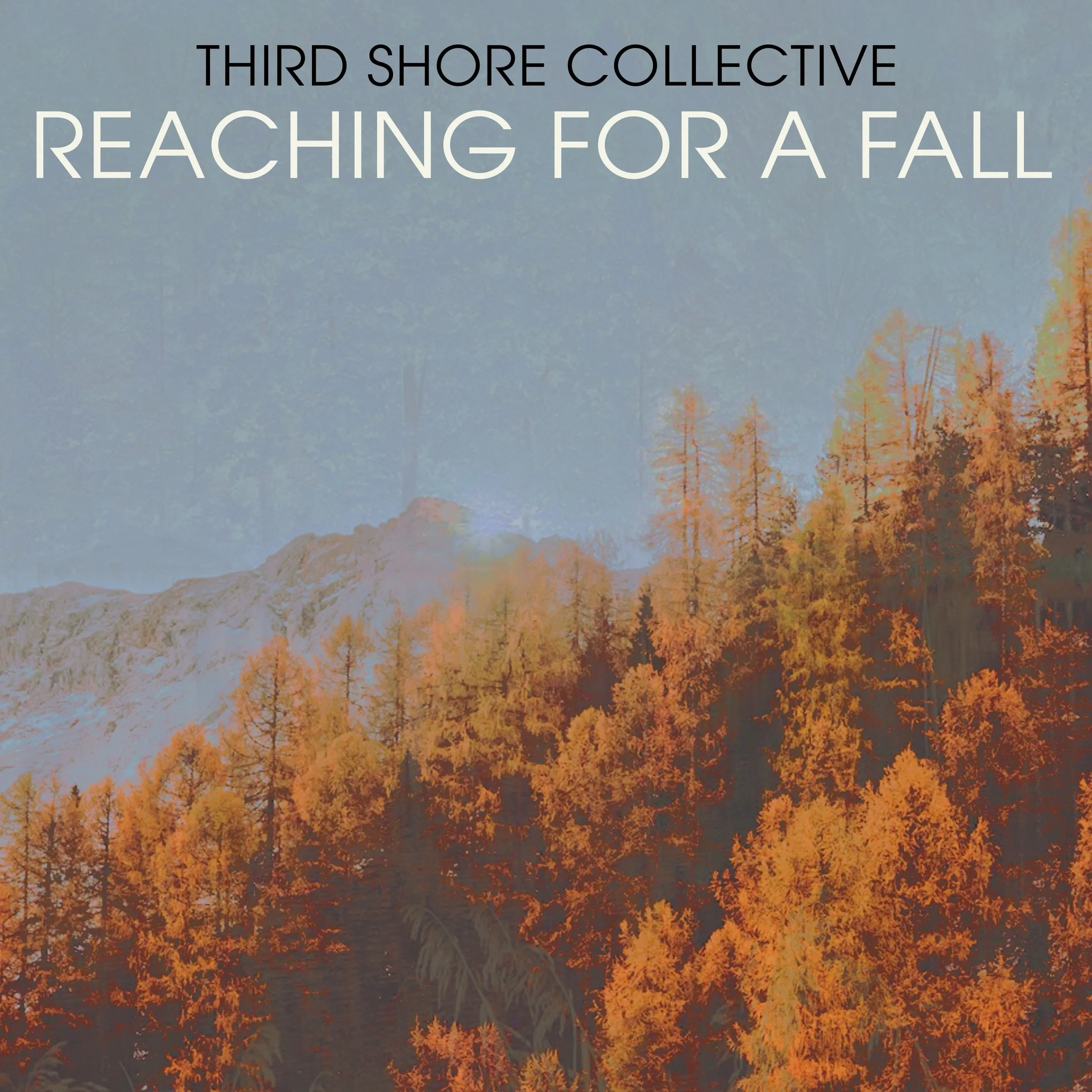 REACHING FOR A FALL - The Sophomore recording of the Third Shore Collective, this record explores the compositional approaches of composers and members Kyle Brooks, Brad Billmaier, Zakk Jones and Will Schneider.